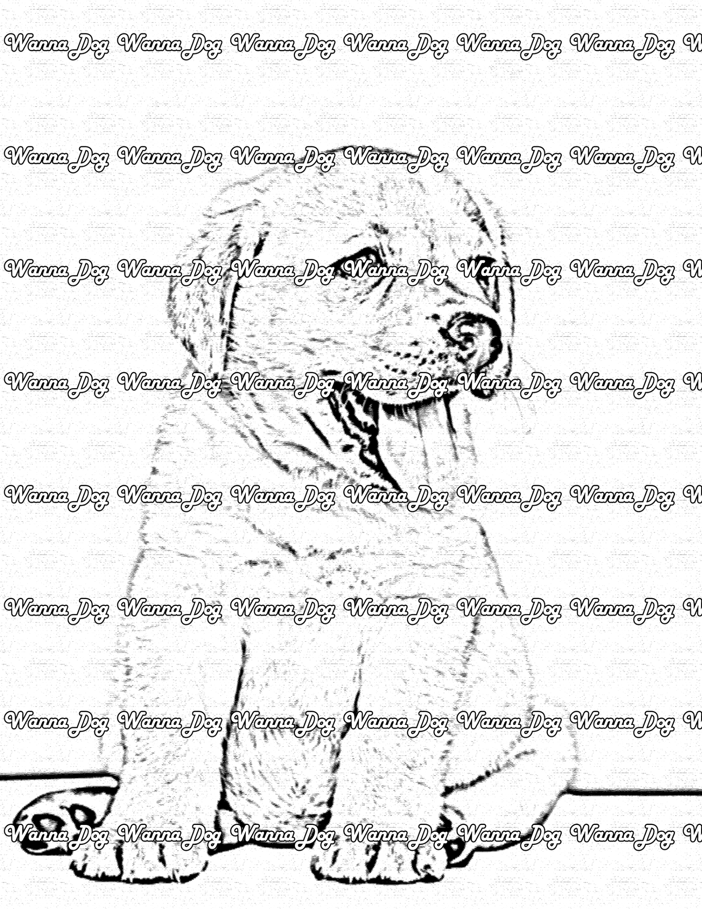 Lab Puppy Coloring Page of a Lab Puppy smiling with their tongue out