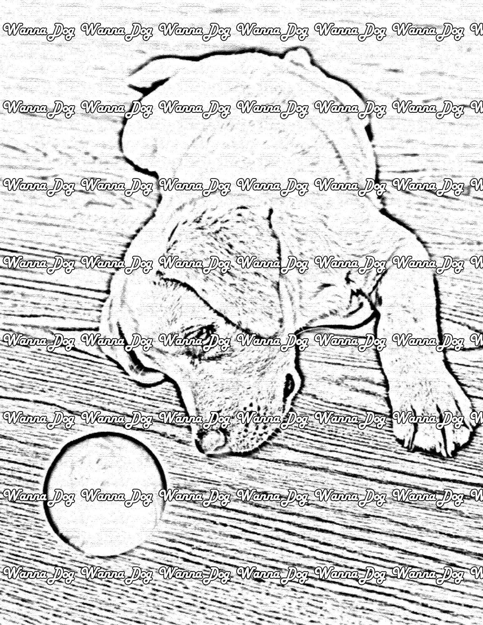Lab Puppy Coloring Page of a Lab Puppy laying down with a ball