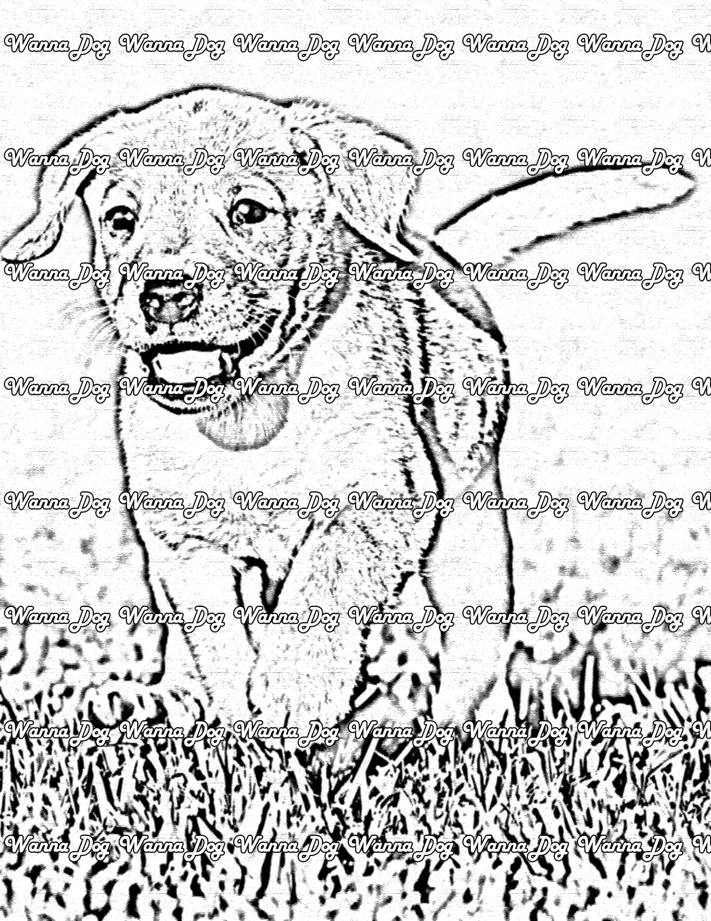Lab Puppy Coloring Page of a Lab Puppy walking in grass