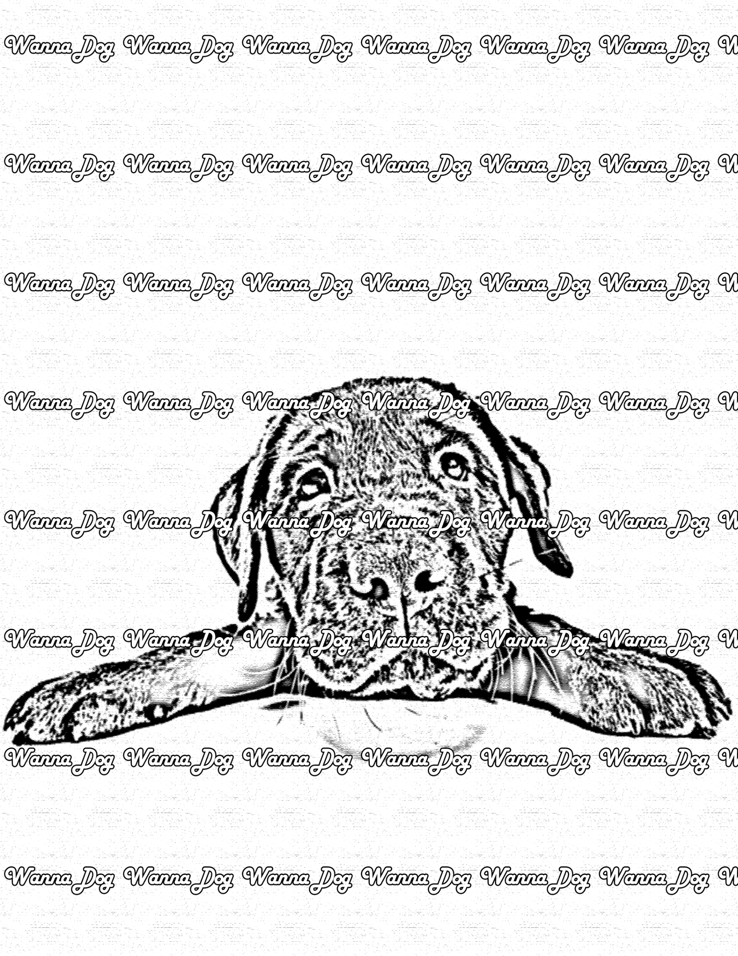Lab Puppy Coloring Page of a Lab Puppy leaning up on a counter