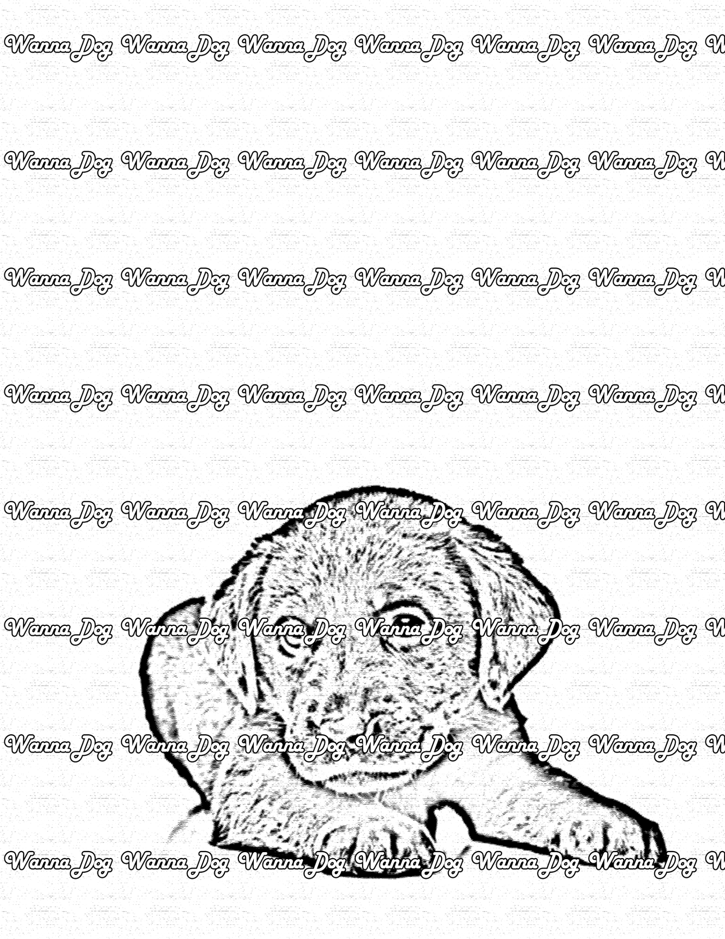 Lab Puppy Coloring Page of a Lab Puppy laying down