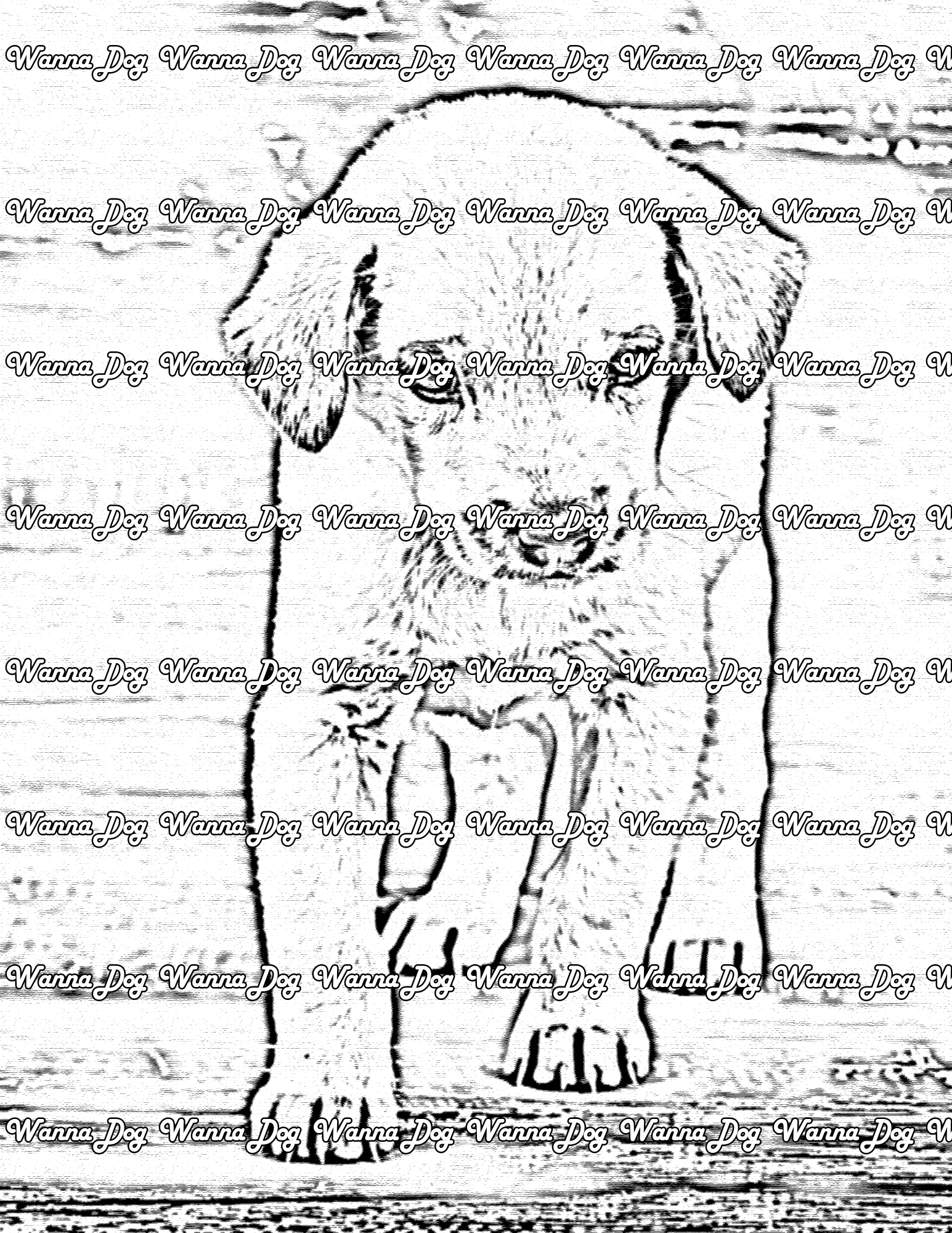 Lab Puppy Coloring Page of a Lab Puppy standing