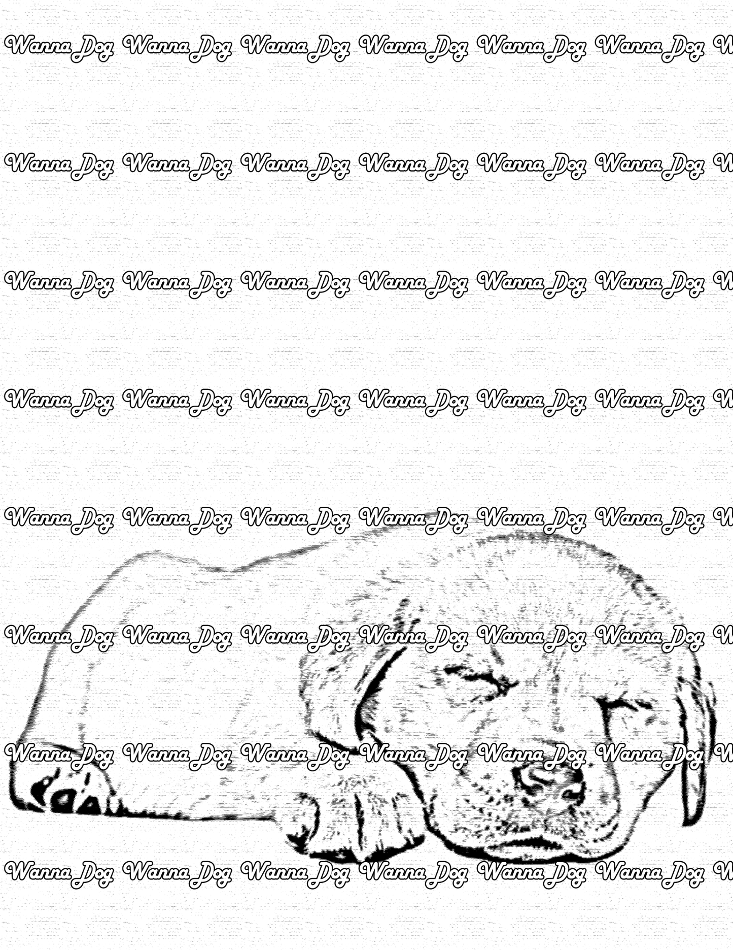 Lab Puppy Coloring Page of a Lab Puppy sleeping