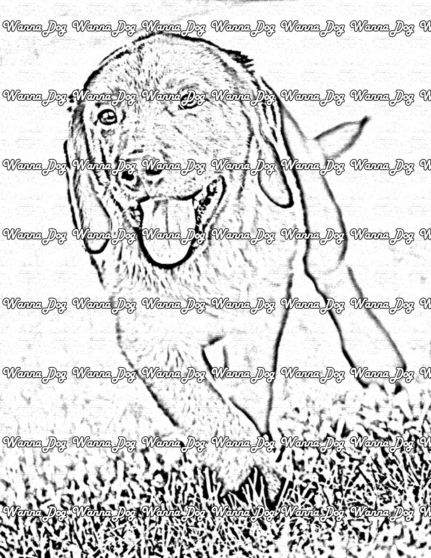 Lab Puppy Coloring Page of a Lab Puppy running