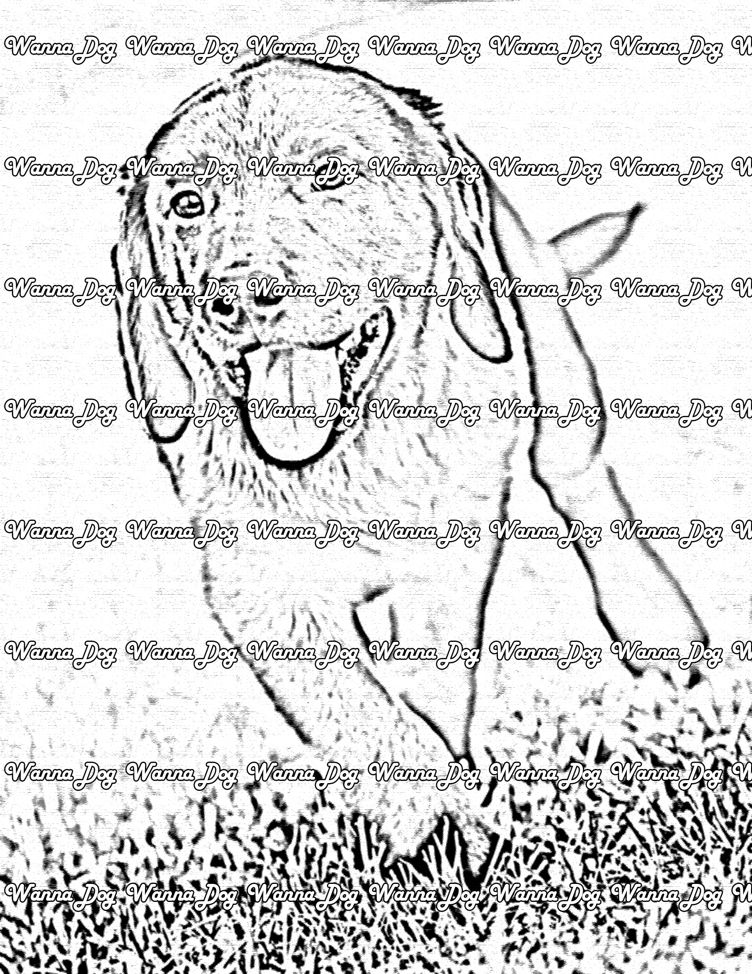 Lab Puppy Coloring Page of a Lab Puppy running