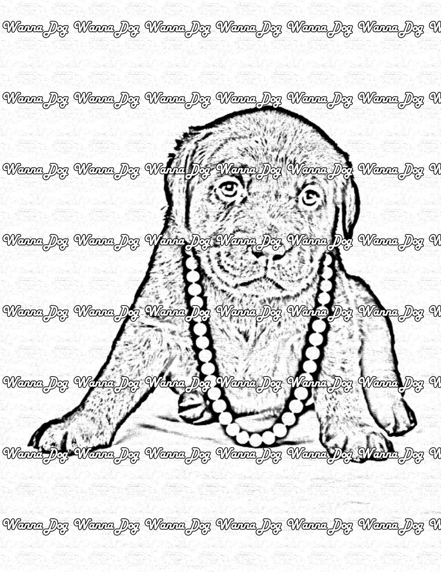 Lab Puppy Coloring Page of a Lab Puppy wearing a necklace