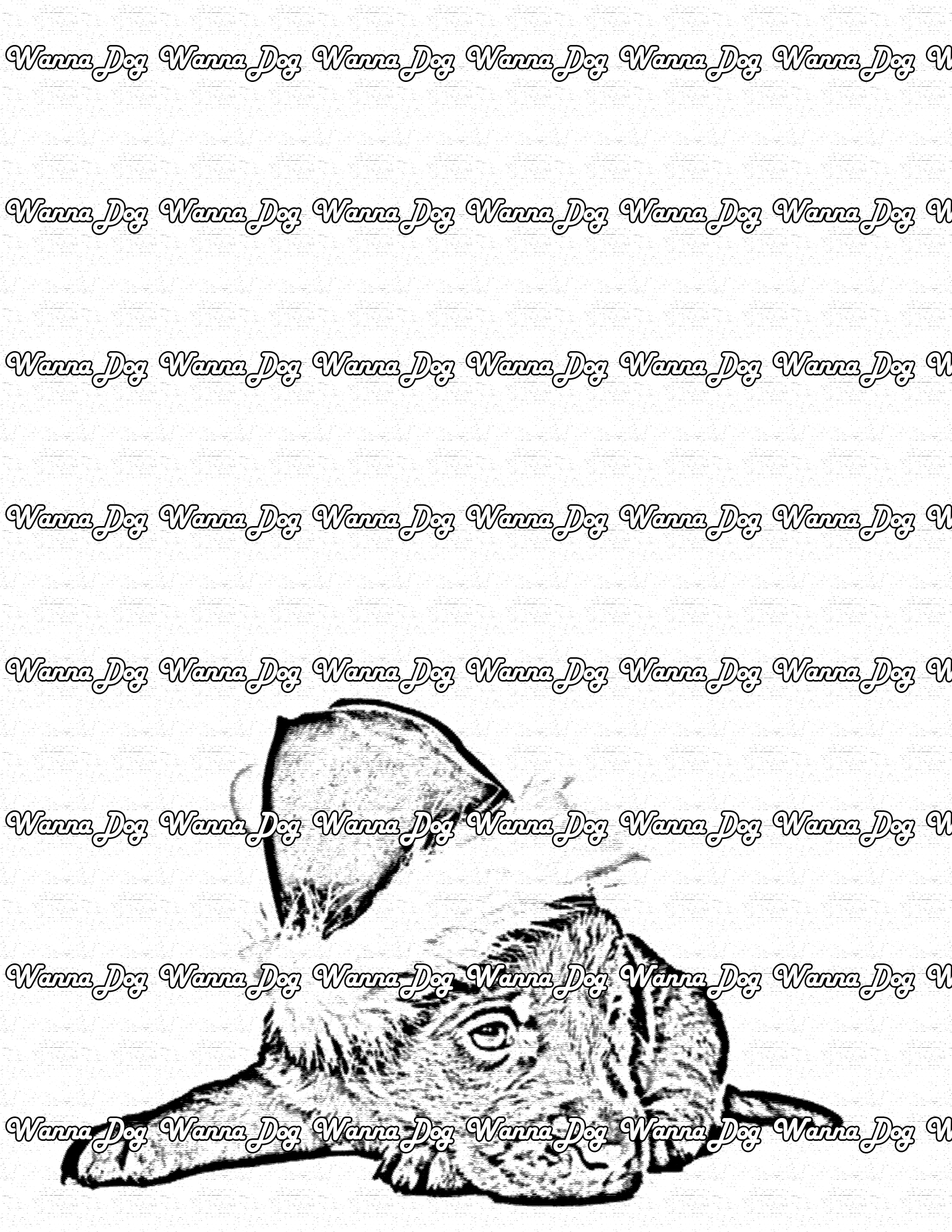 Lab Puppy Coloring Page of a Lab Puppy wearing a santa hat