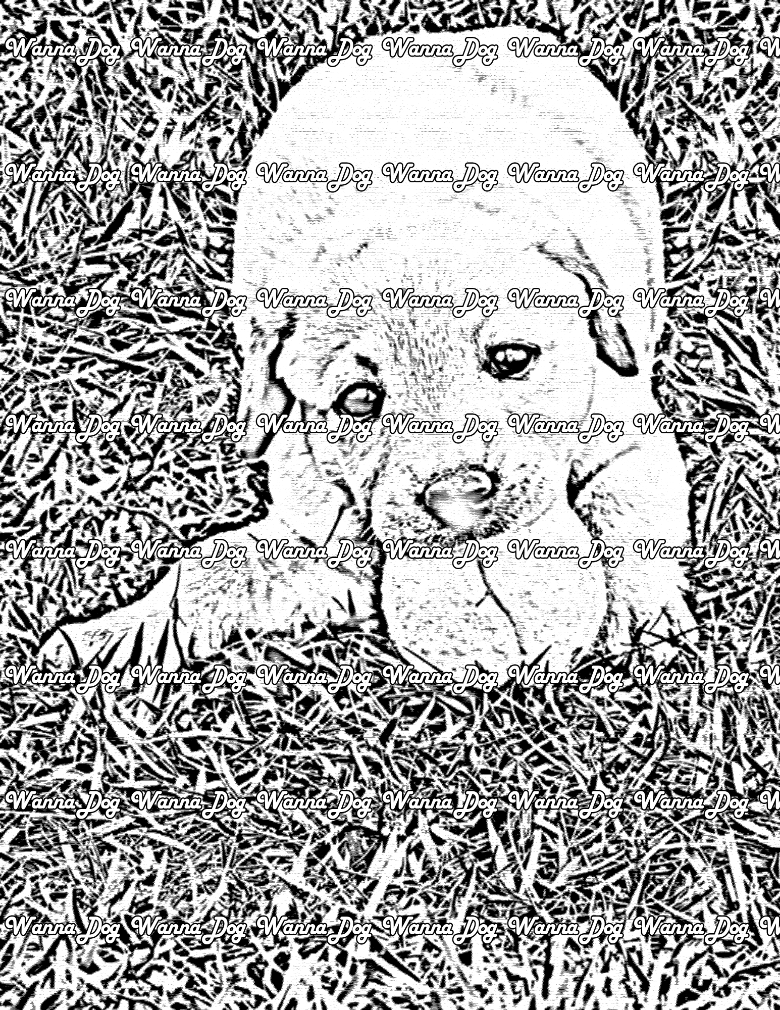 Lab Puppy Coloring Page of a Lab Puppy in the grass with a tennis ball