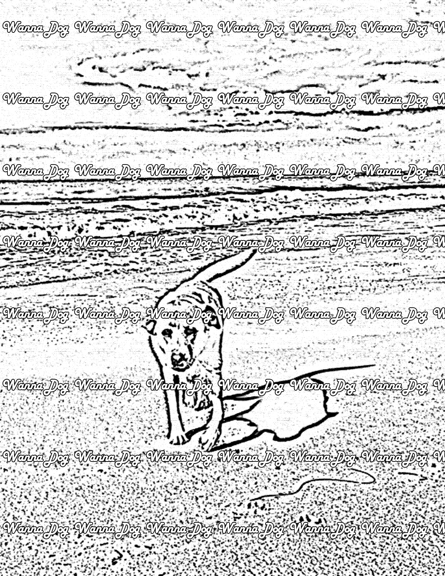 Labrador Coloring Page of a Labrador at the beach walking away from the water