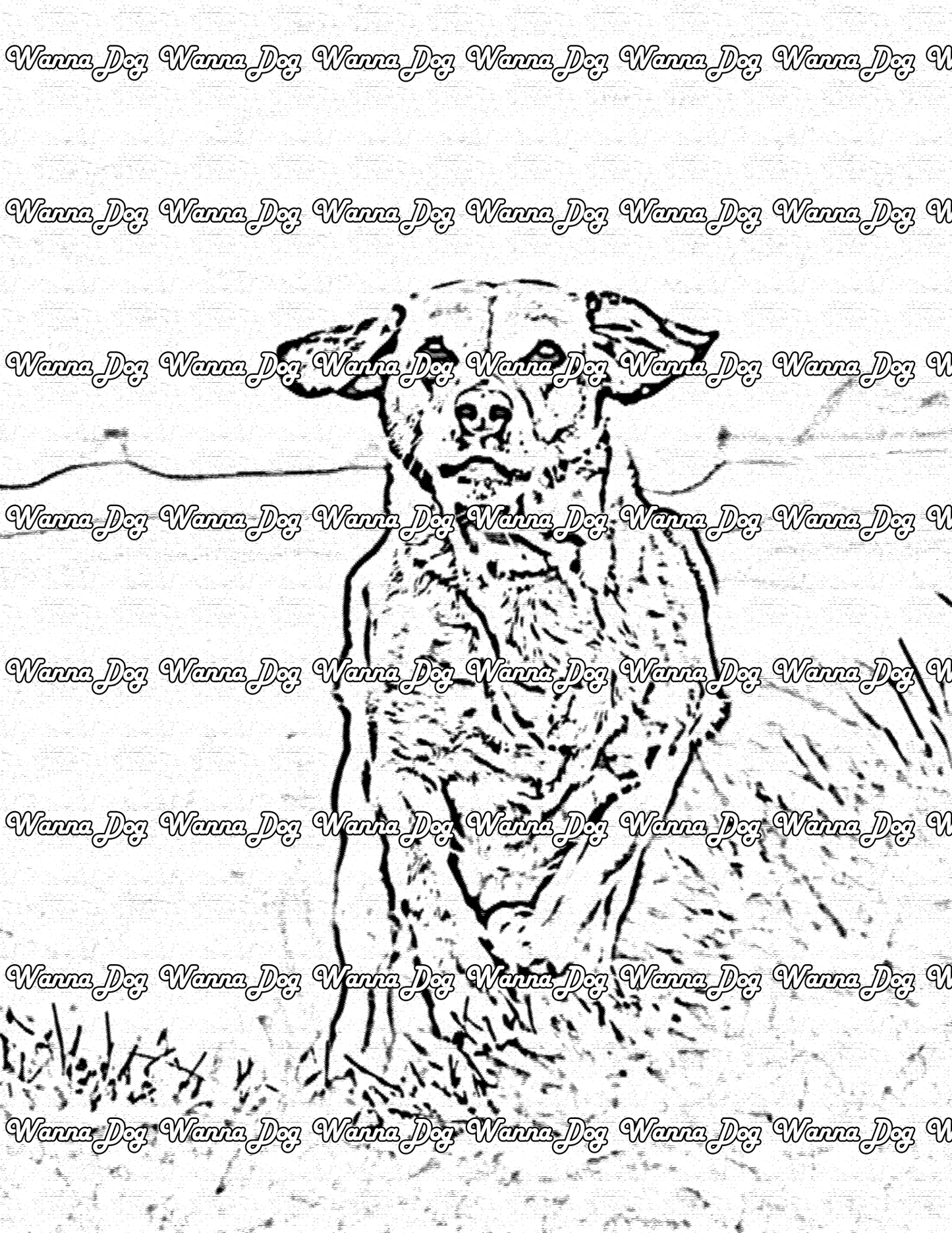Labrador Coloring Page of a Labrador running in the grass