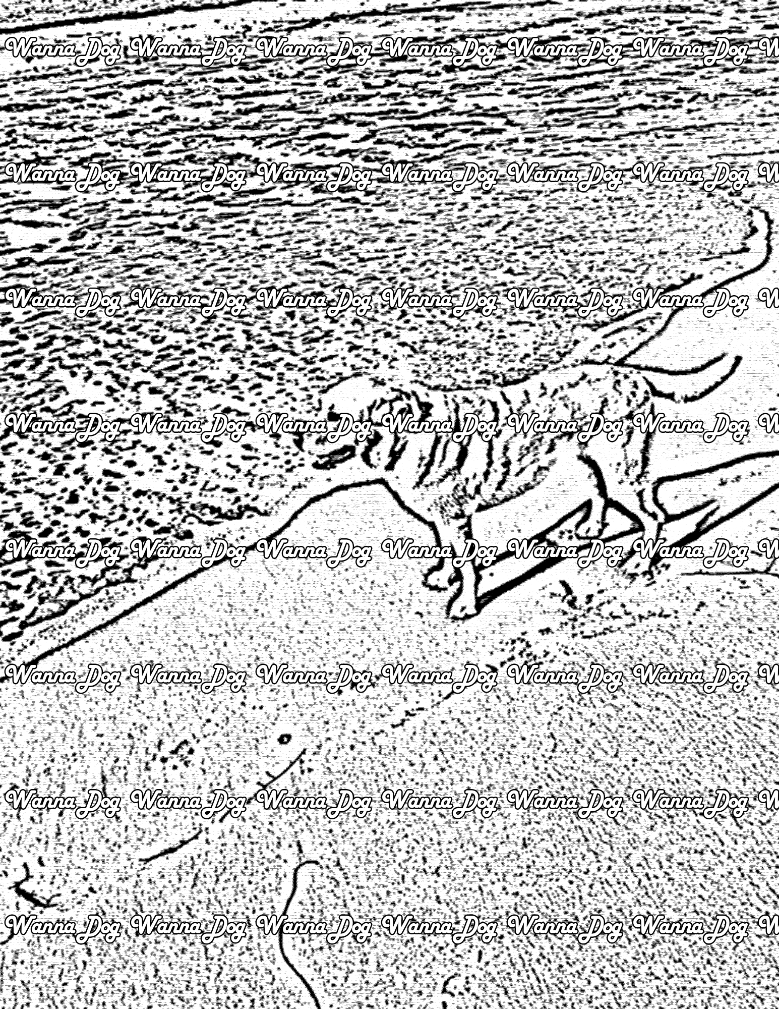 Labrador Coloring Page of a Labrador at the beach, near the water