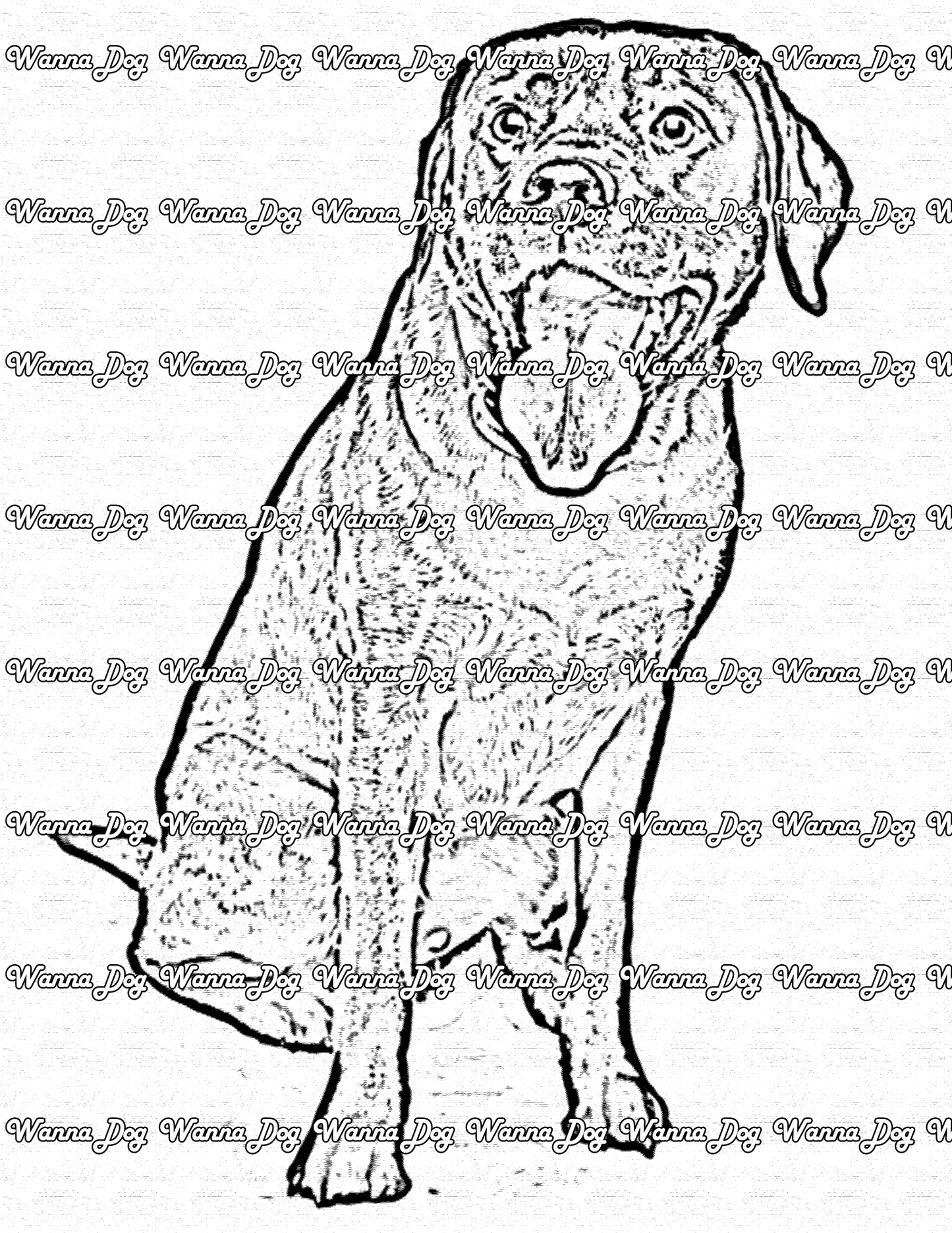 Labrador Coloring Page of a Labrador sitting with their tongue out