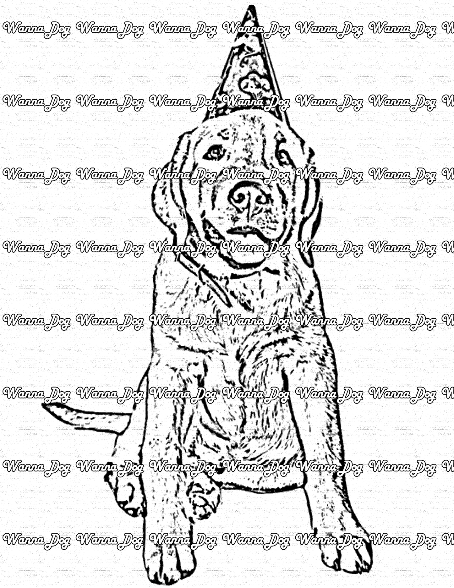 Labrador Coloring Page of a Labrador sitting with a birthday hat