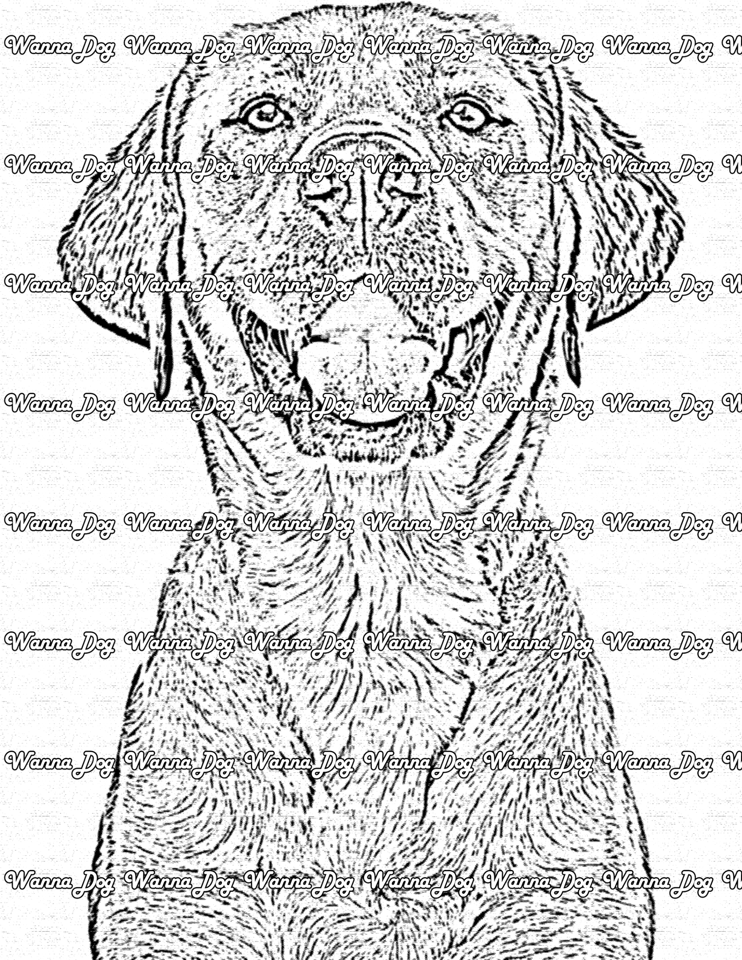Labrador Retriever Coloring Page of a Labrador Retriever smiling