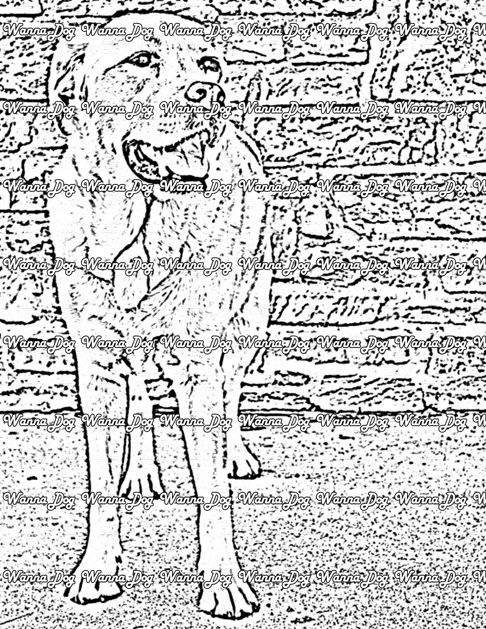 Labrador Retriever Coloring Page of a Labrador Retriever standing next to a brick wall