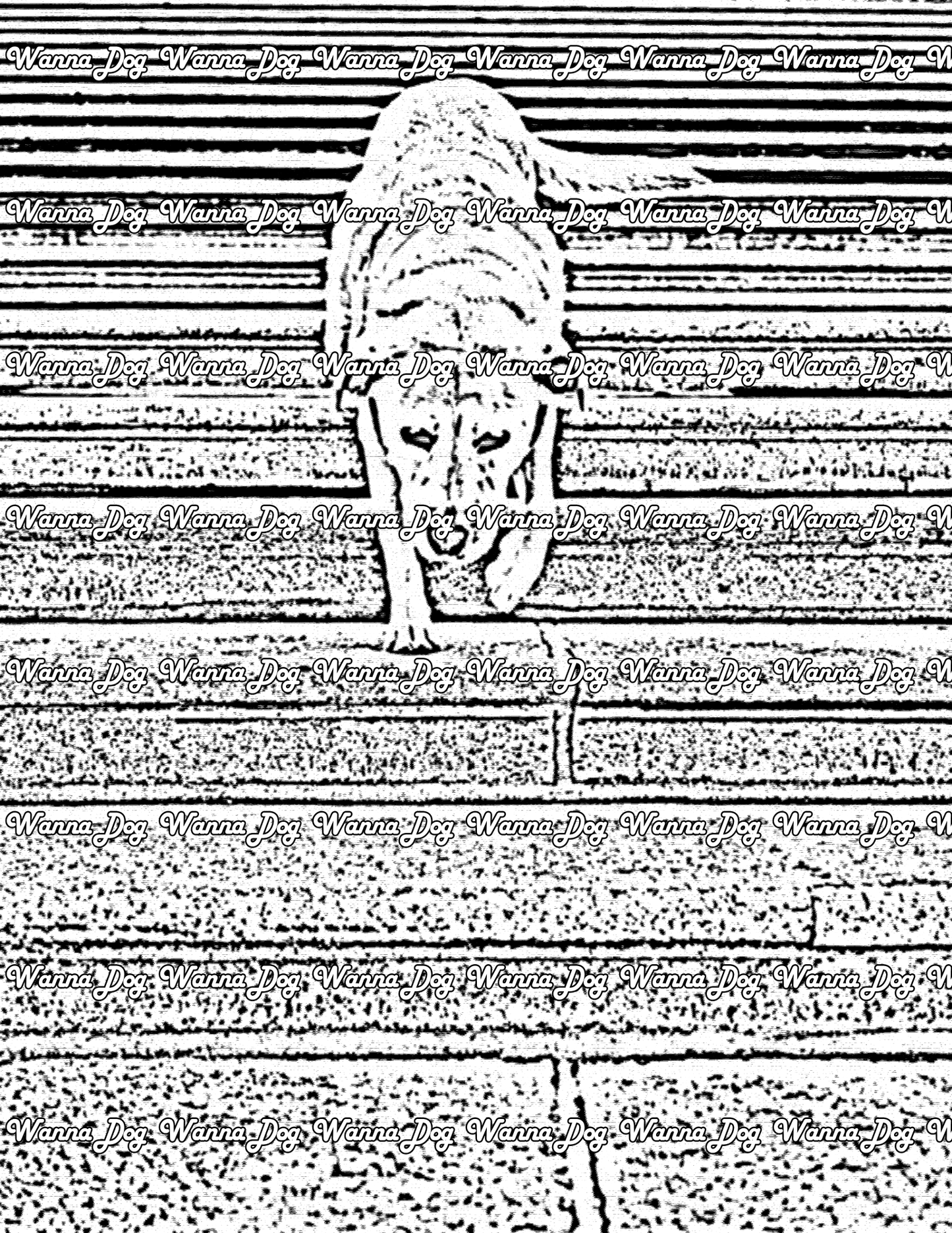 Labrador Retriever Coloring Page of a Labrador Retriever walking down some steps