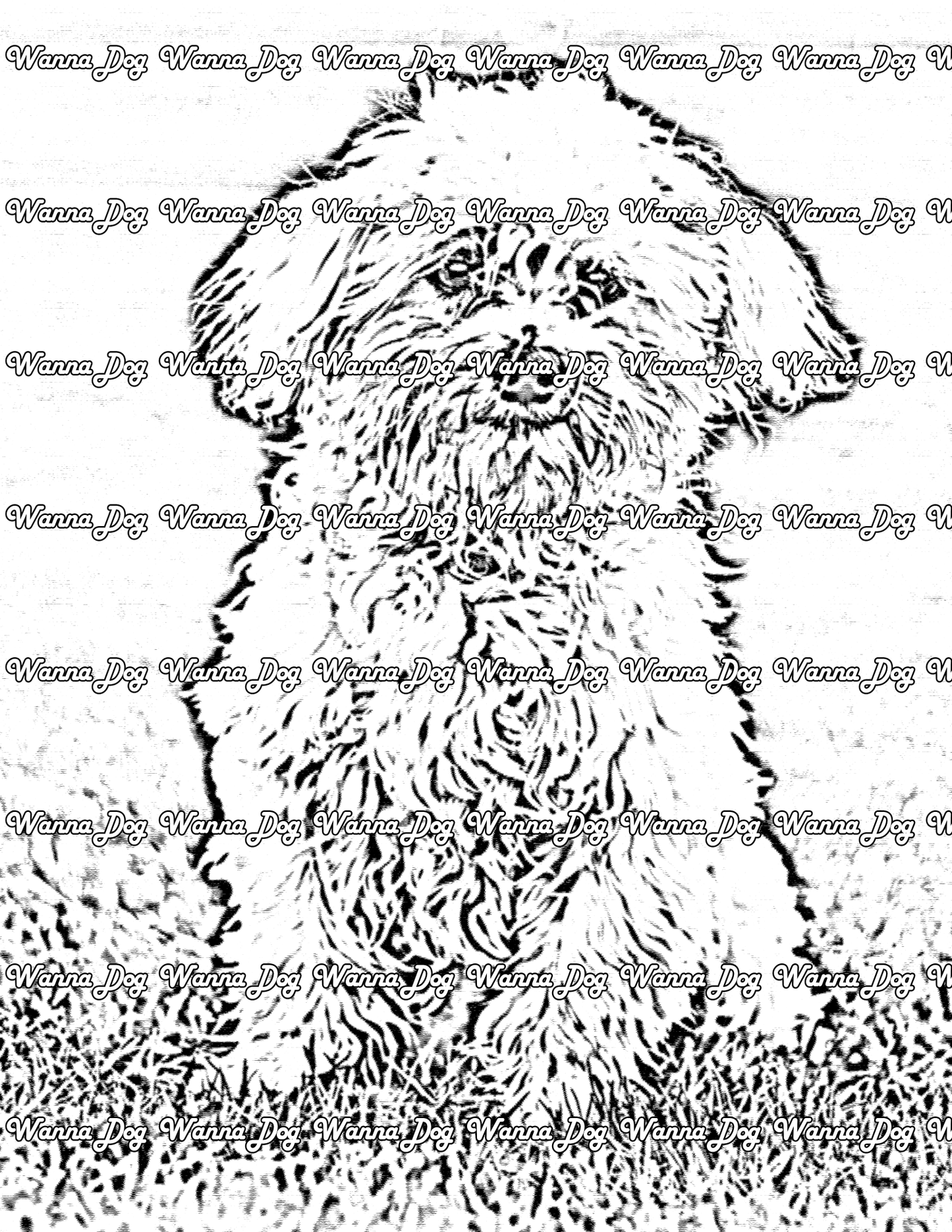 Maltese Coloring Page of a Maltese posing in grass