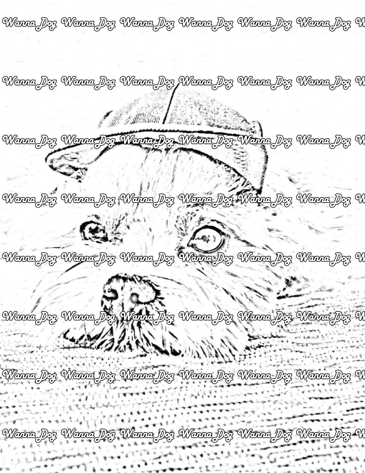 Maltese Coloring Page of a Maltese laying down while wearing a hat