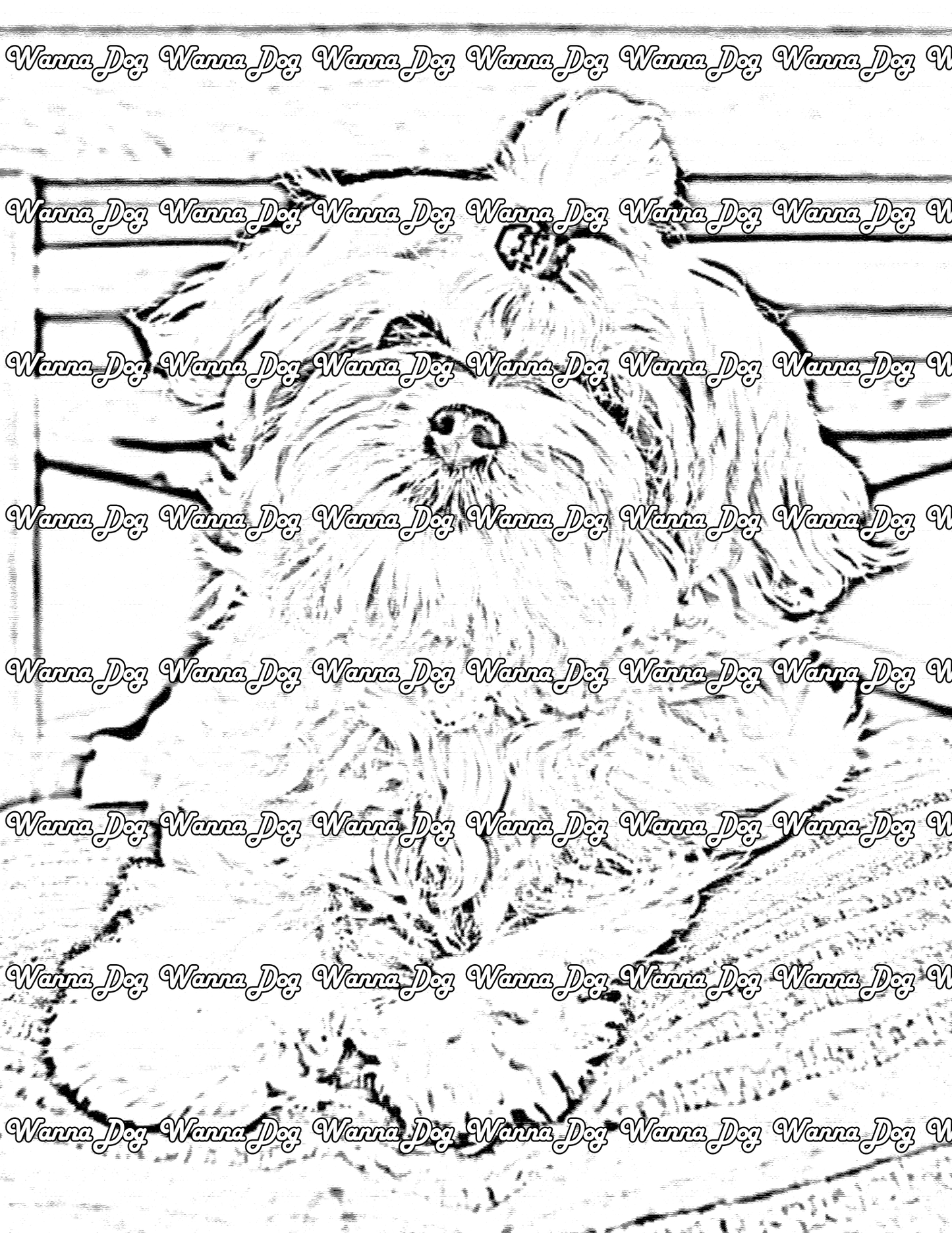 Maltese Coloring Page of a Maltese sitting on a pillow