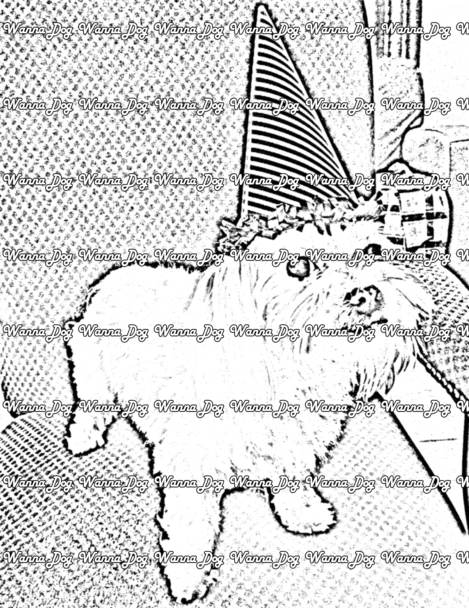 Maltese Coloring Page of a Maltese wearing a birthday hat and sitting on a chair