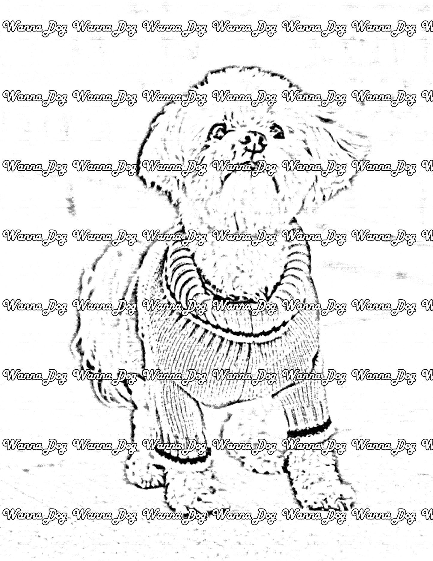 Maltese Coloring Page of a Maltese standing and wearing a sweater