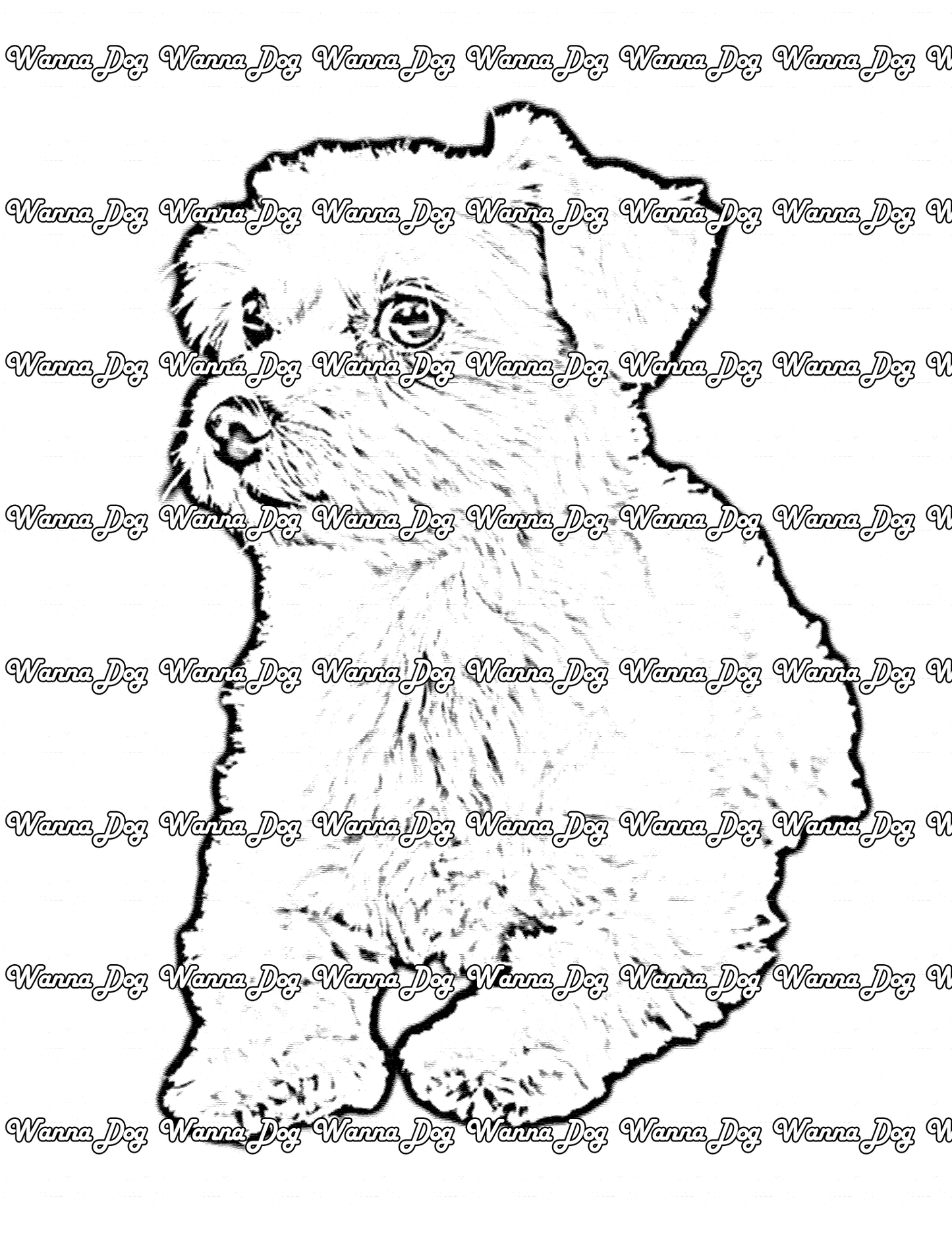 Maltese Coloring Page of a Maltese sitting and looking away from the camera