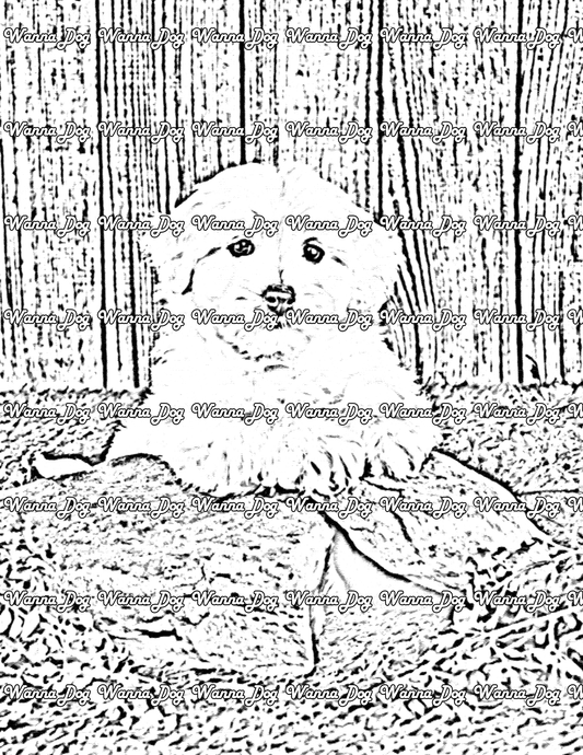 Maltipoo Coloring Page of a Maltipoo sitting on a log