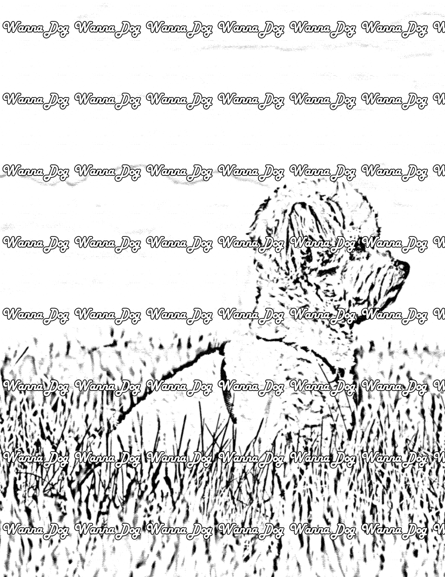 Maltipoo Coloring Page of a Maltipoo sitting outside in the grass