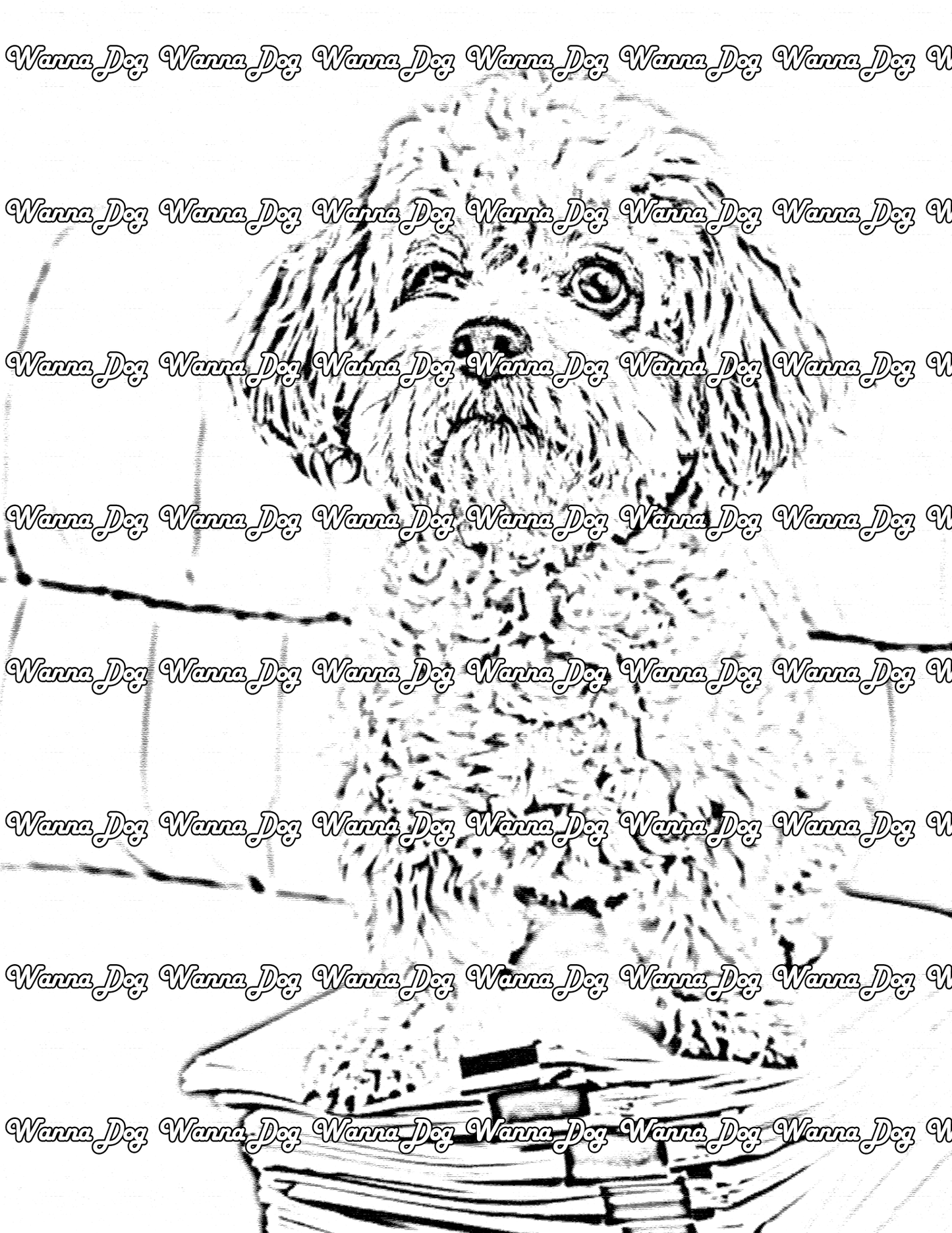 Maltipoo Coloring Page of a Maltipoo sitting on a stack of paper