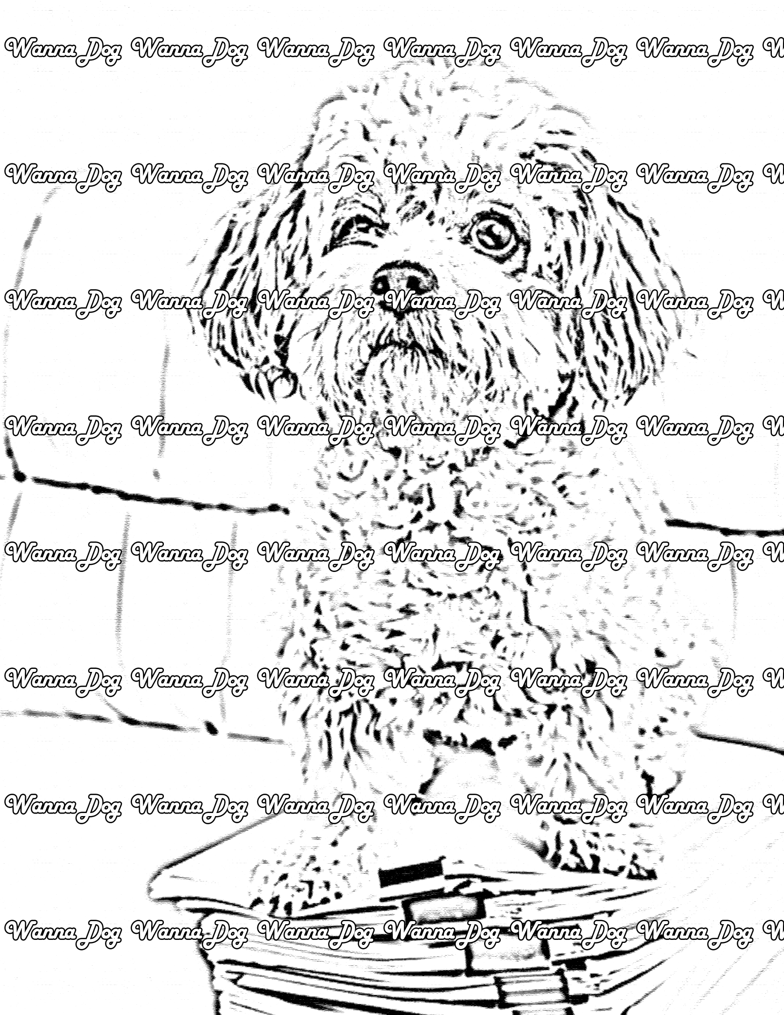 Maltipoo Coloring Page of a Maltipoo sitting on a stack of paper