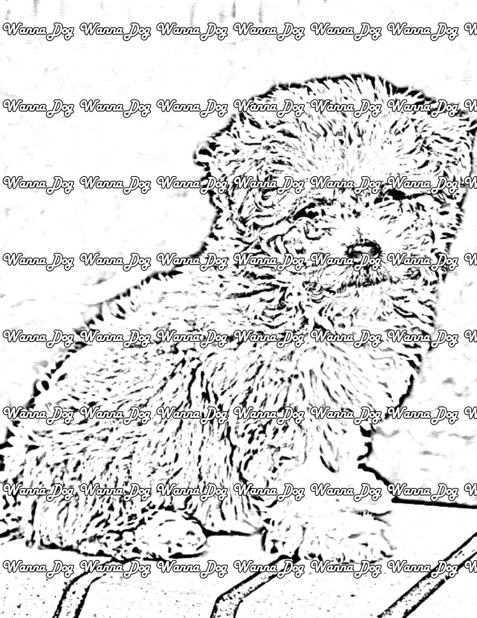 Maltipoo Coloring Page of a Maltipoo sitting outside on bricks