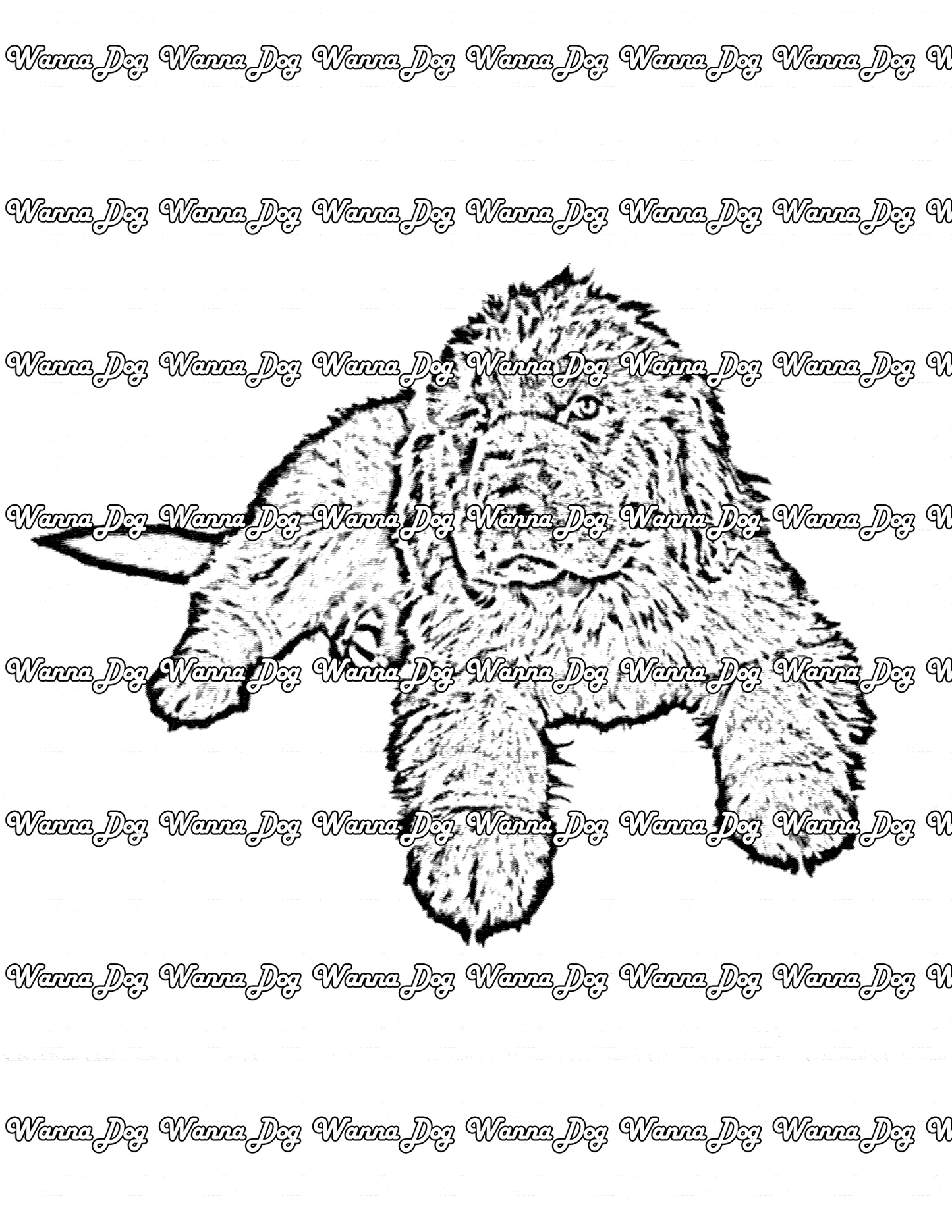 Newfoundland Coloring Page of a Newfoundland laying down