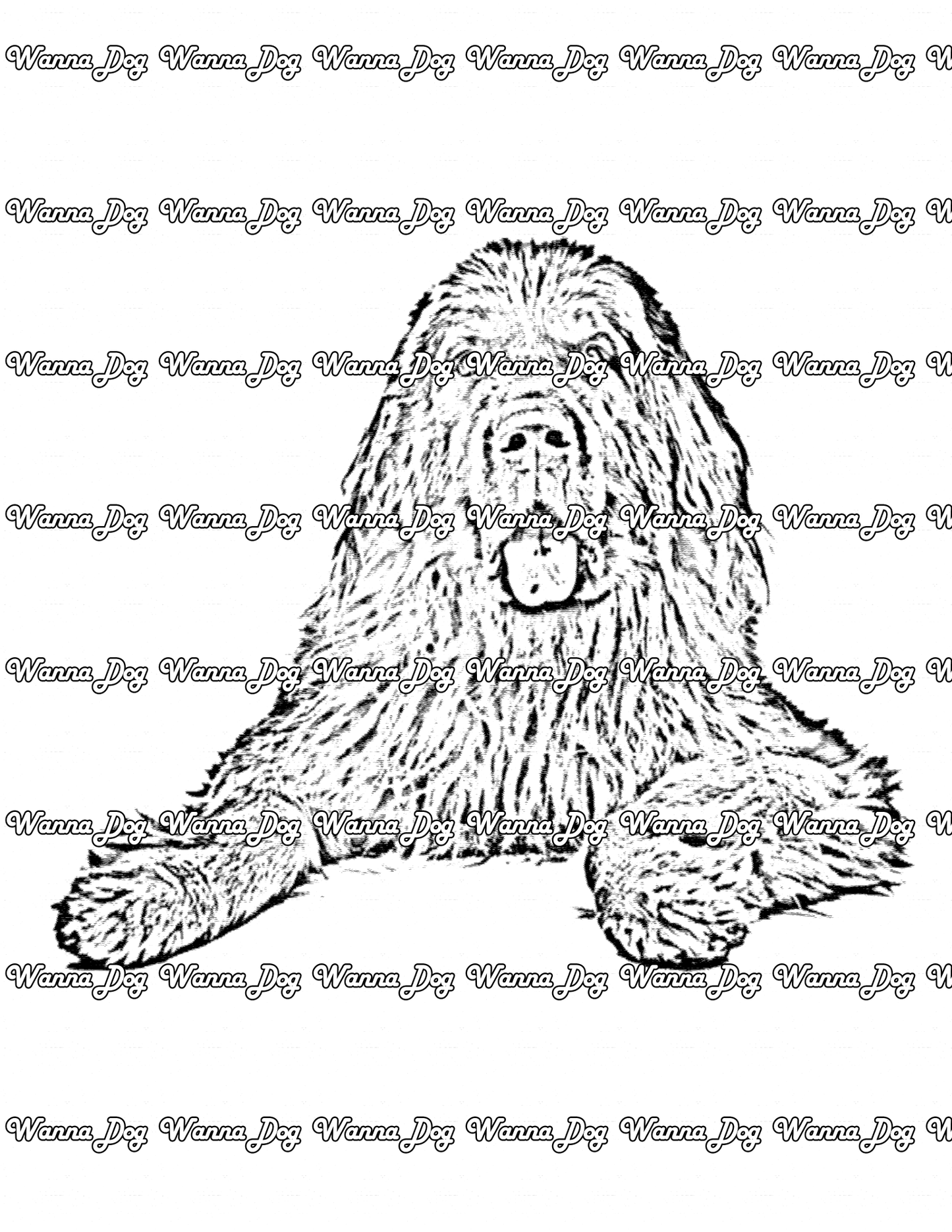 Newfoundland Coloring Page of a Newfoundland laying down, posing with their tongue out