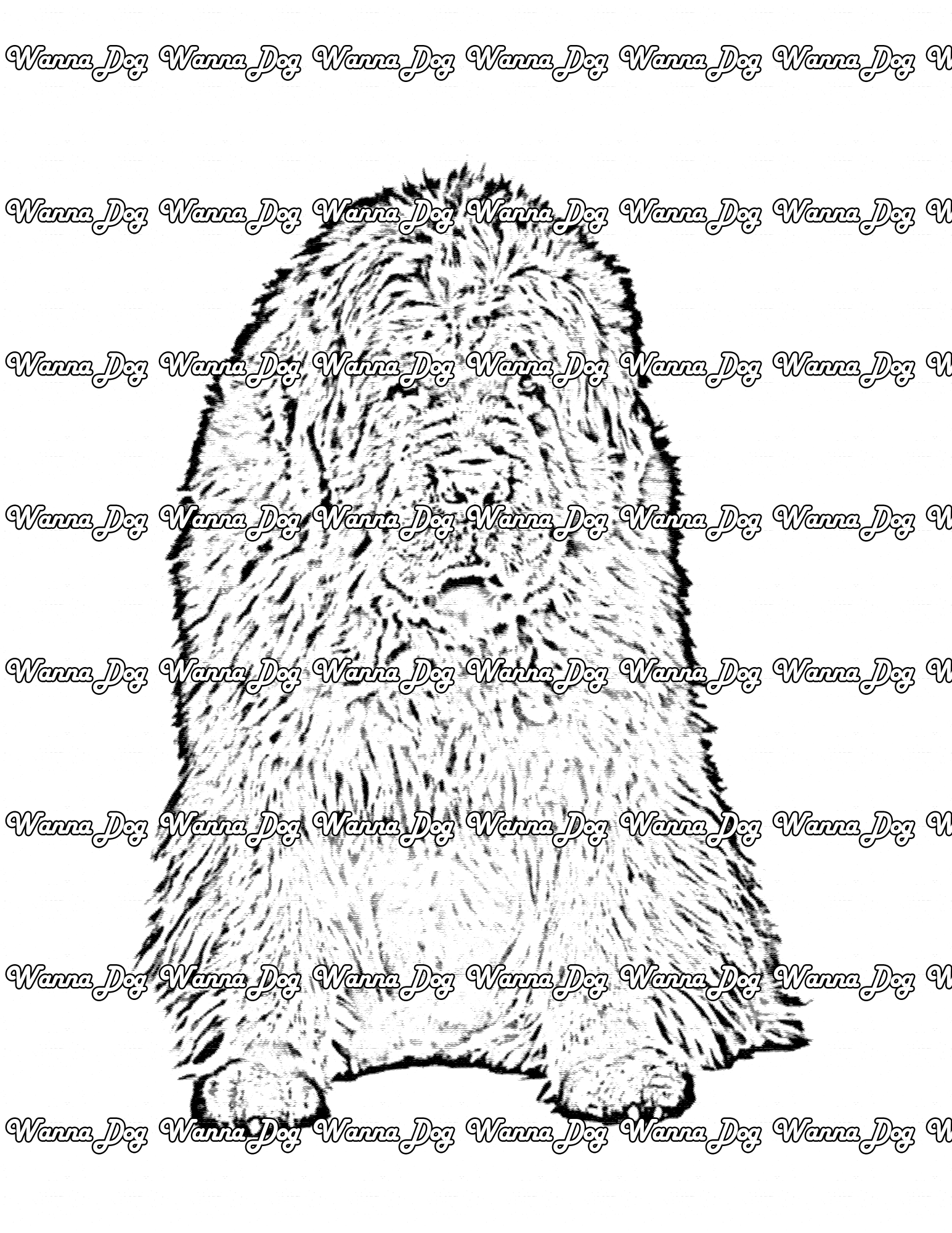 Newfoundland Coloring Page of a Newfoundland sitting