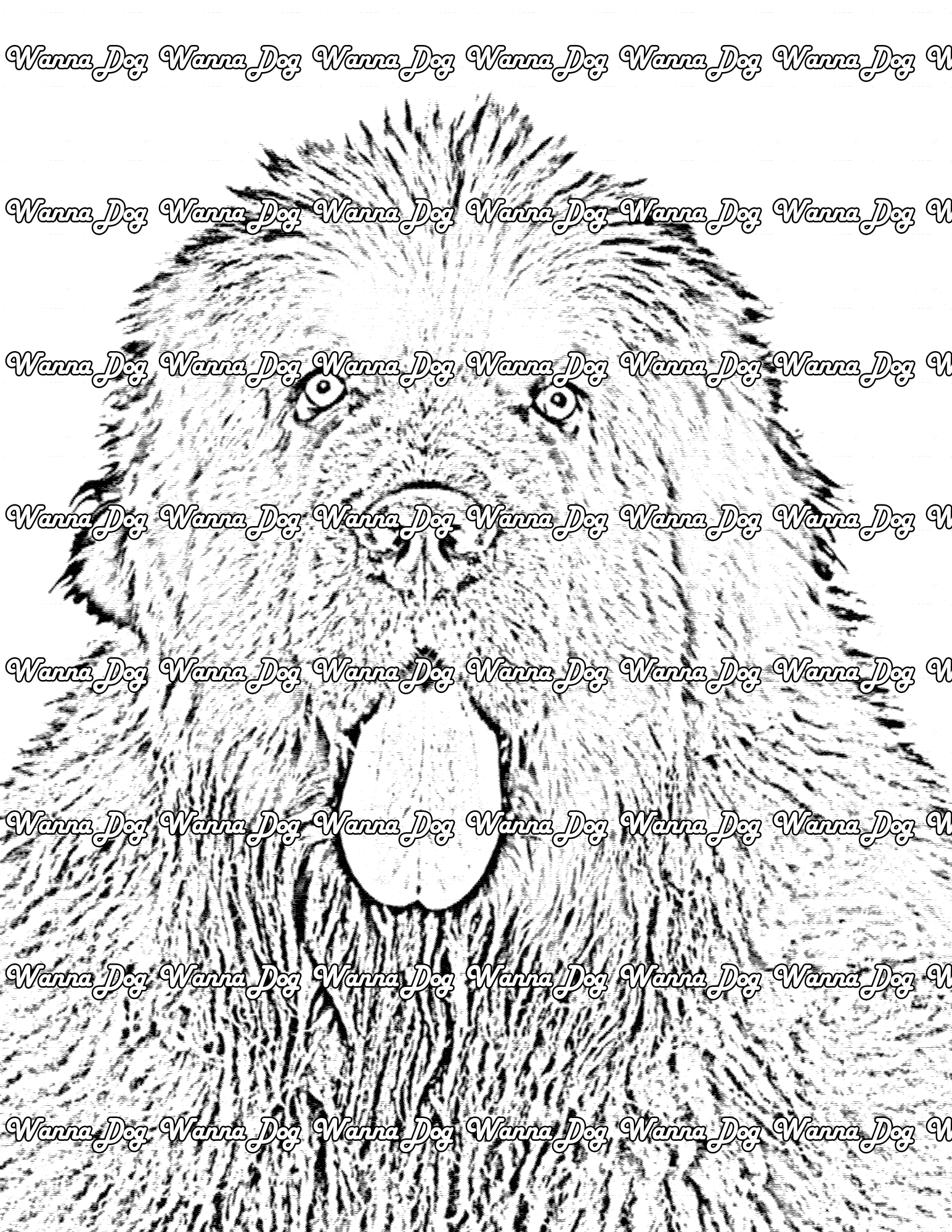 Newfoundland Coloring Page of a Newfoundland with their tongue out
