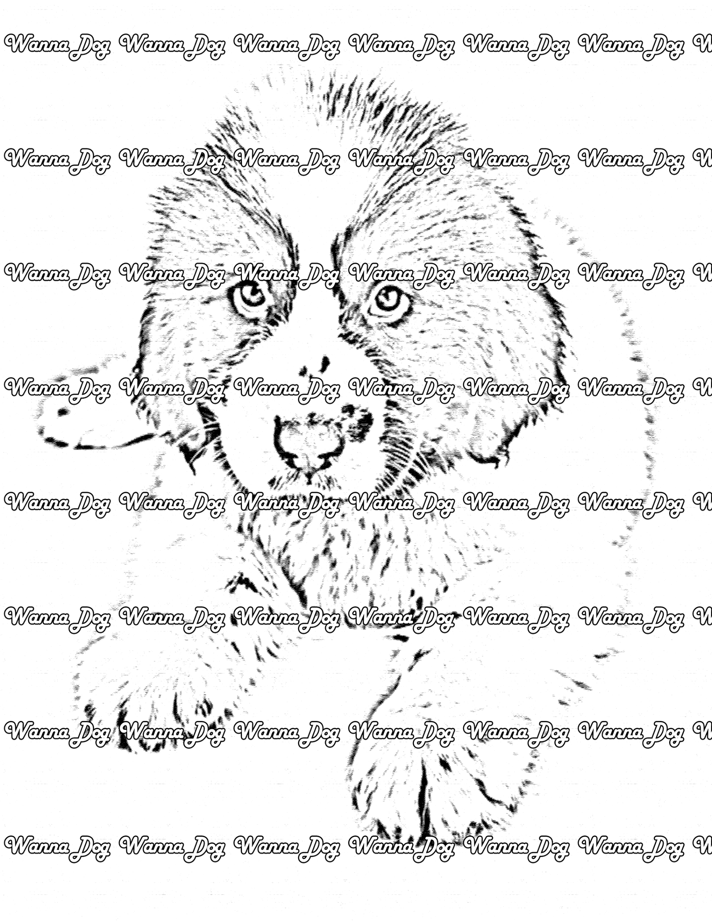 Newfoundland Coloring Page of a Newfoundland puppy laying down