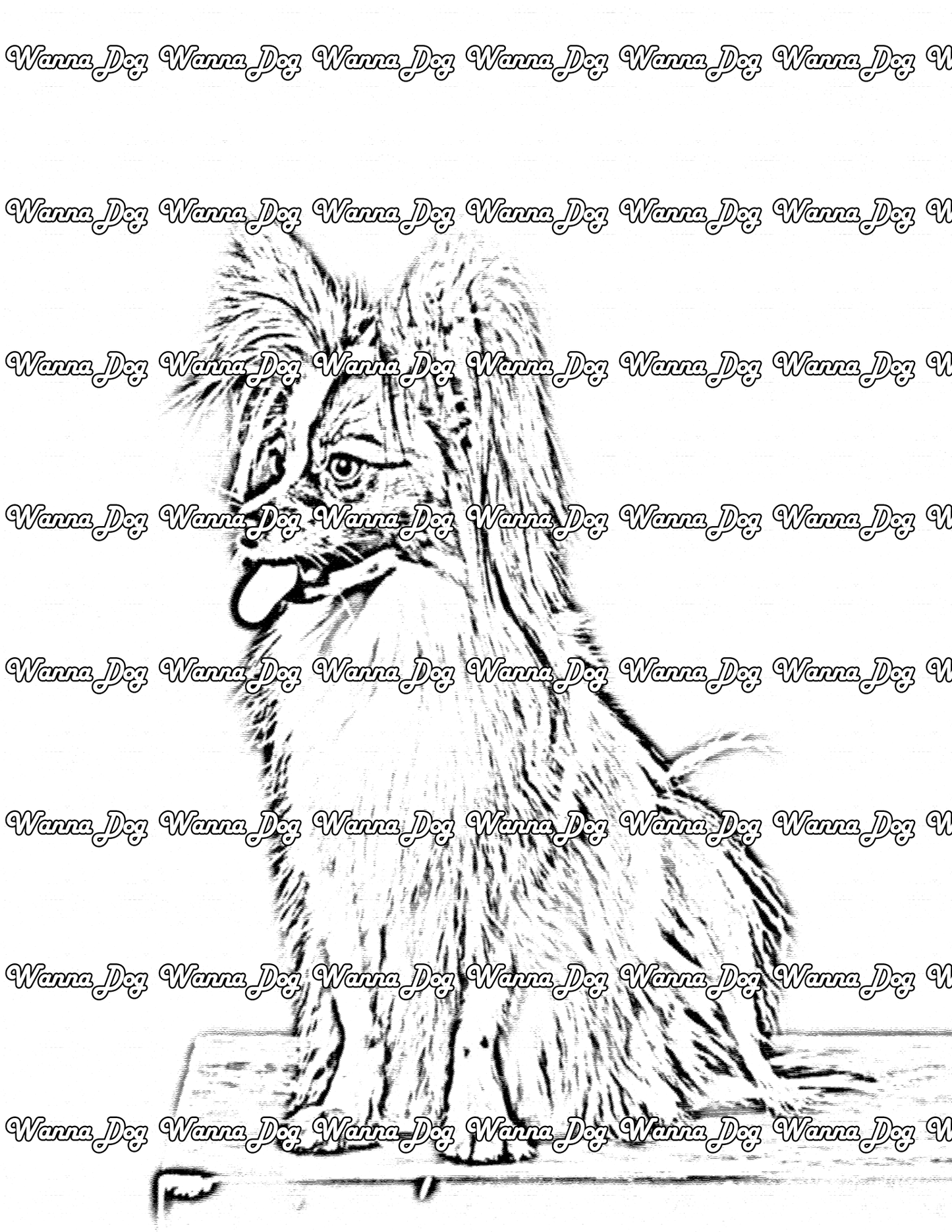 Papillon Coloring Page of a Papillon sitting with their tongue out
