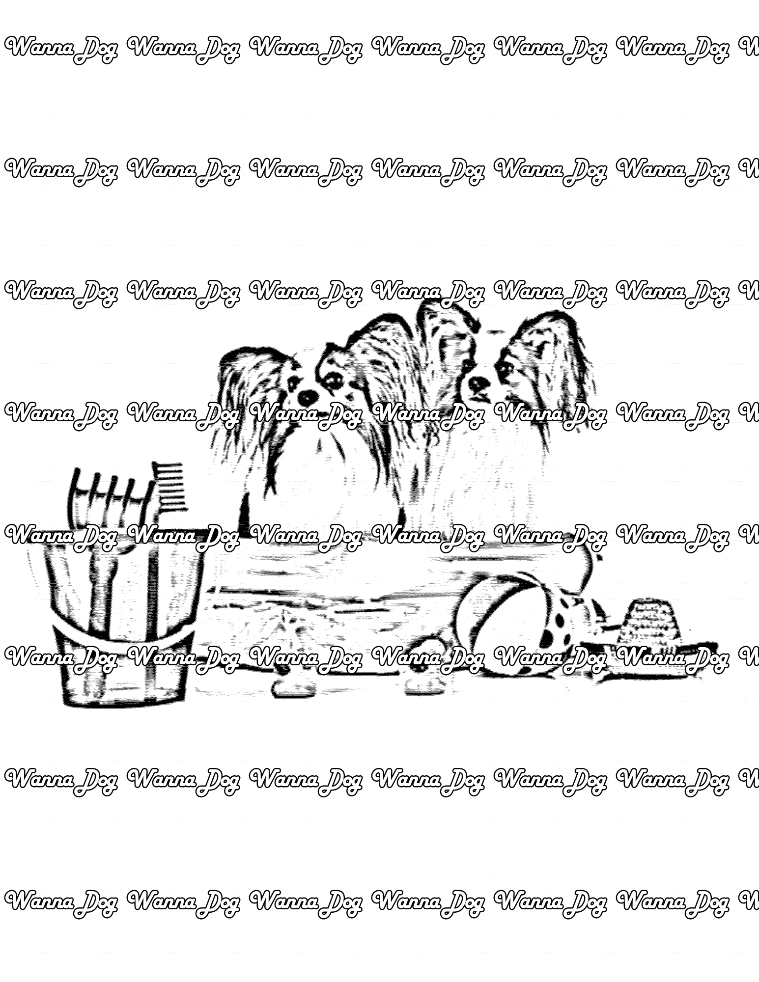 Papillon Coloring Page of Papillons sitting in a kitty pool