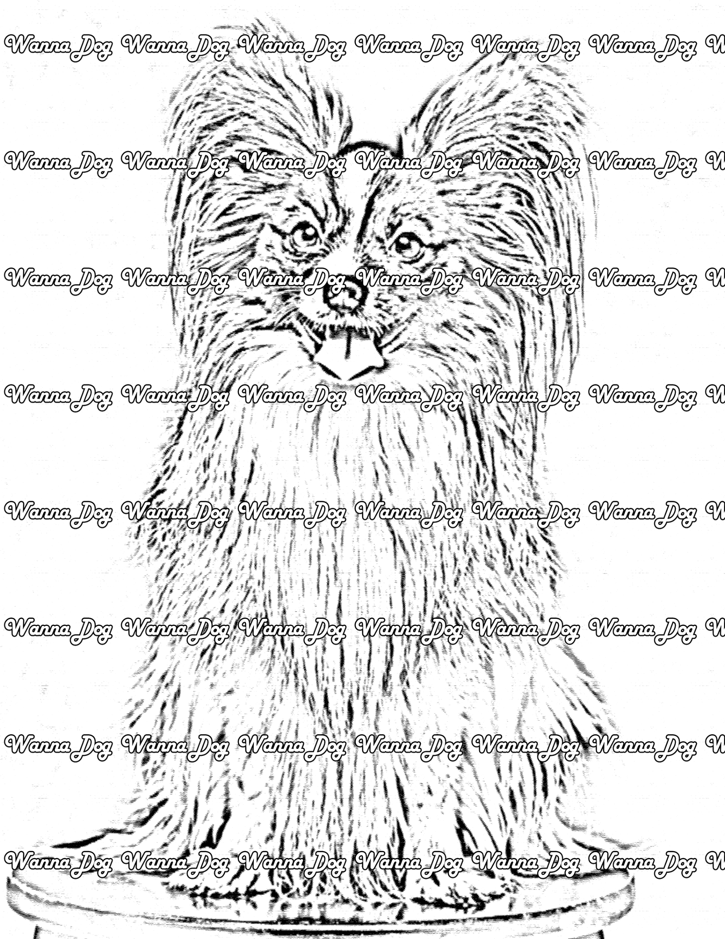 Papillon Coloring Page of a Papillon sitting, posing, with their tongue out