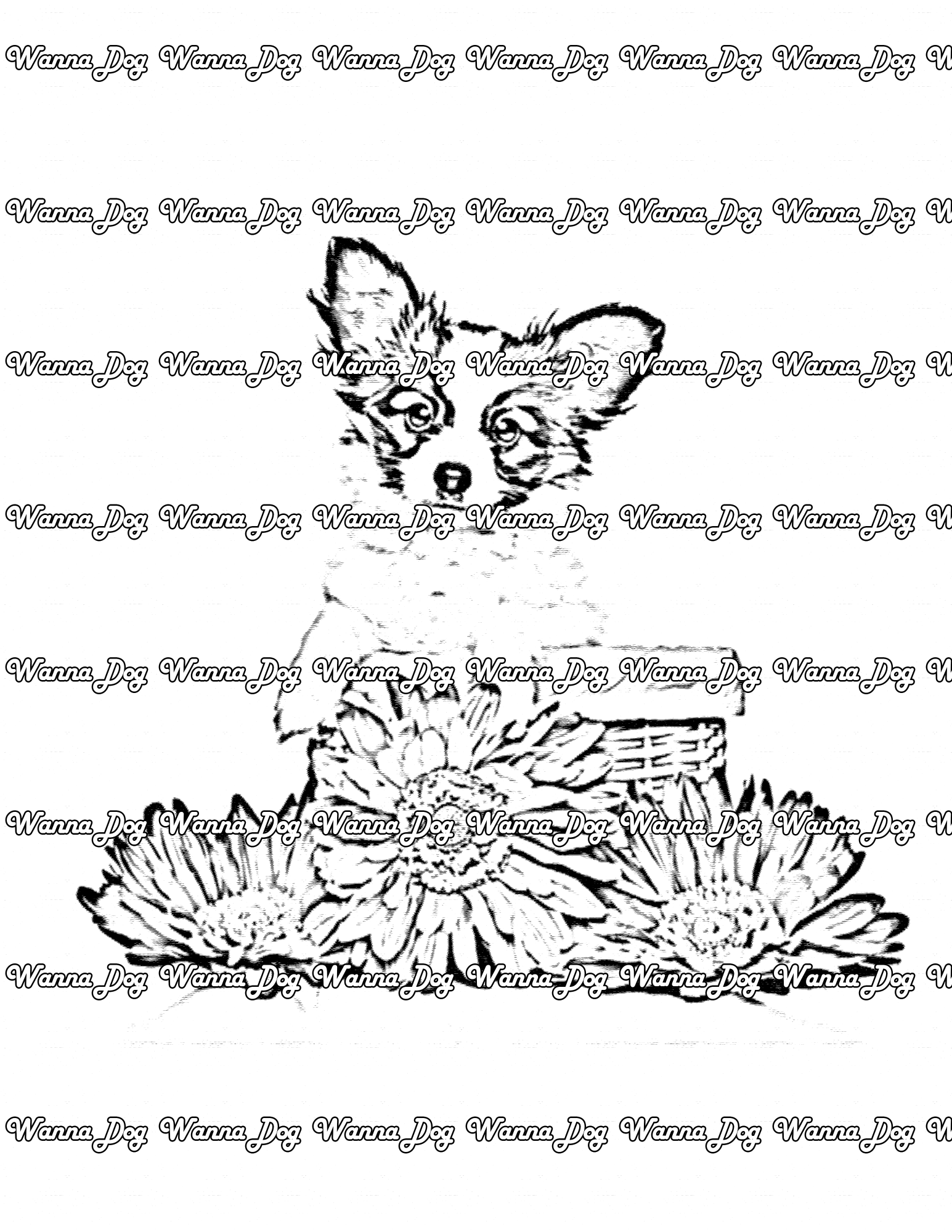 Papillon Coloring Page of a Papillon sitting with flower