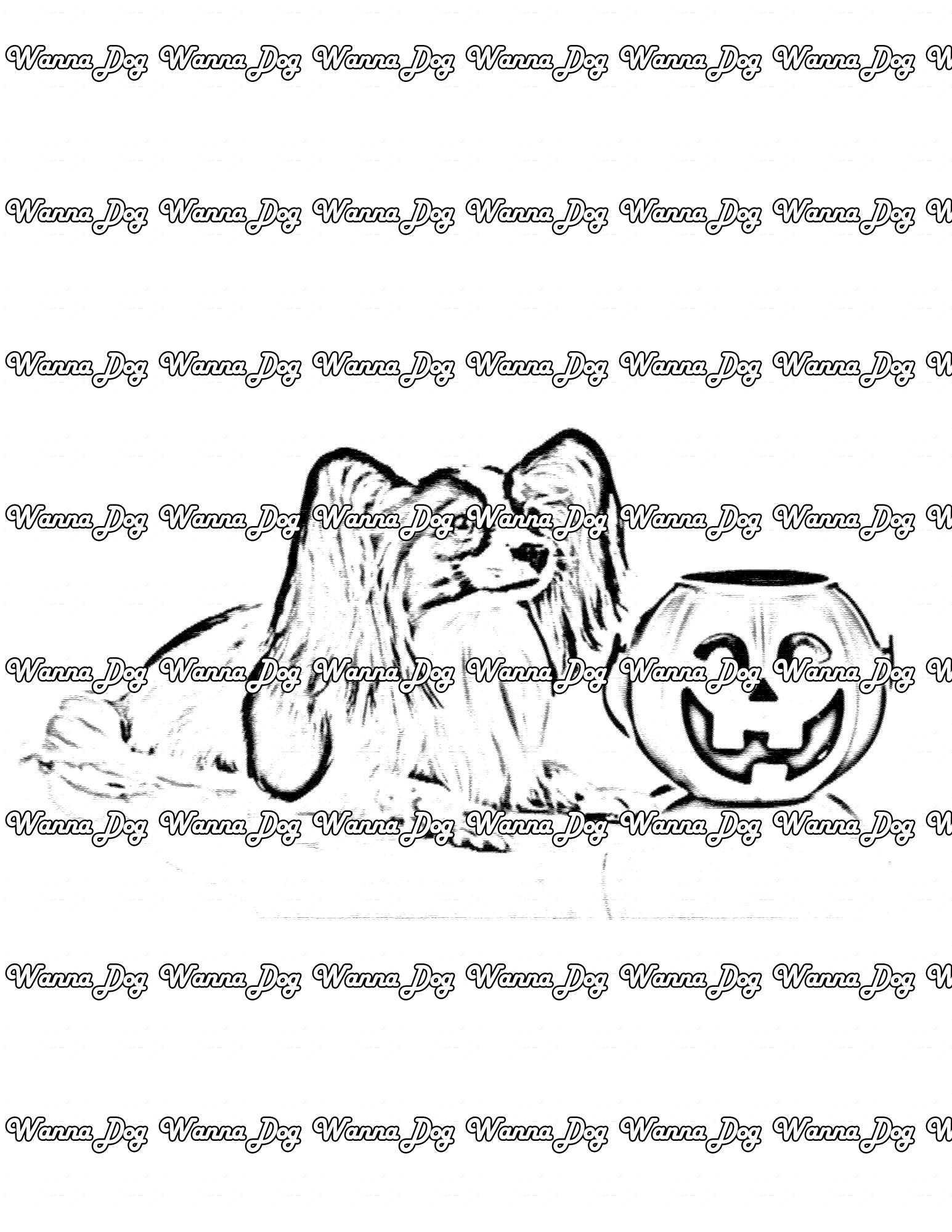 Papillon Coloring Page of a Papillon with a halloween basket