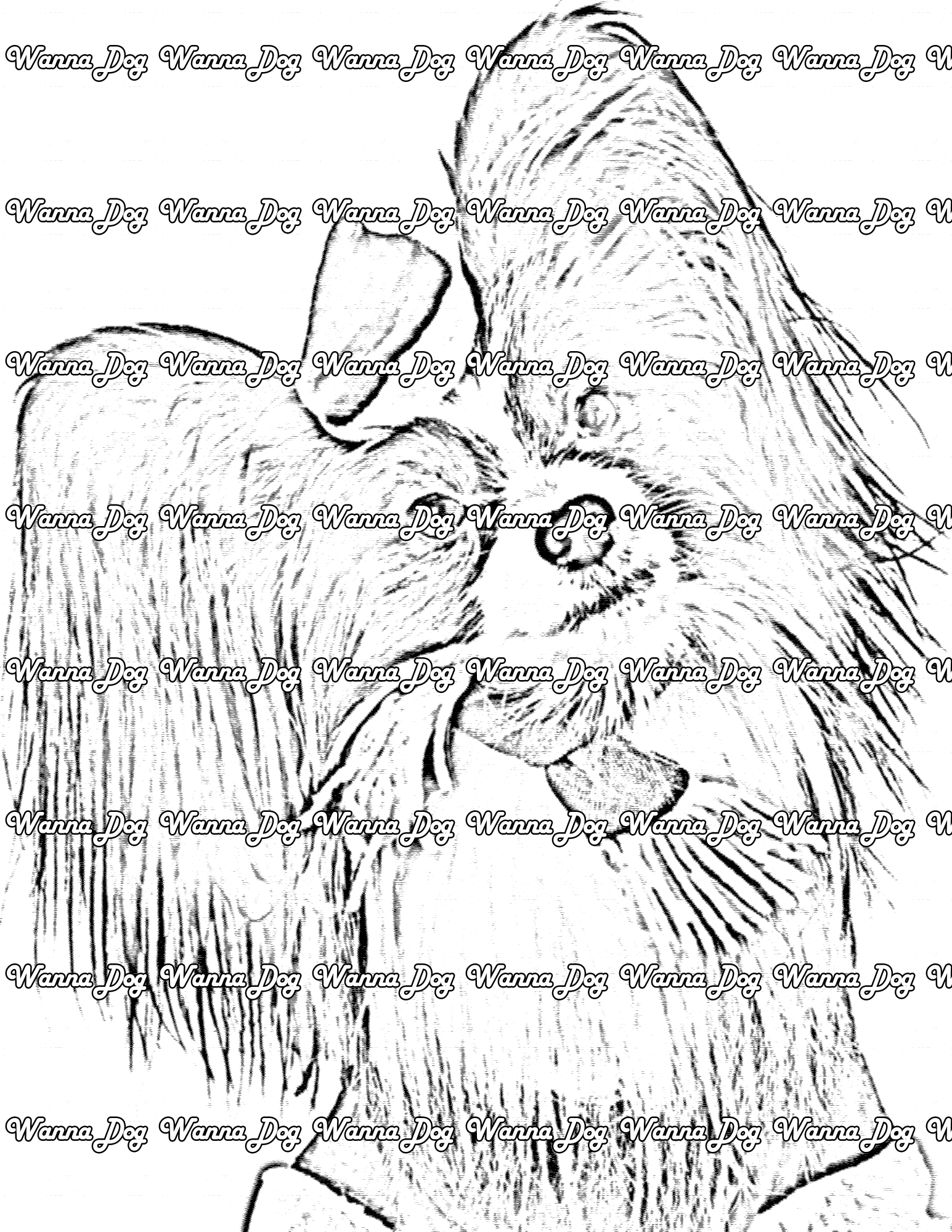 Papillon Coloring Page of a Papillon in a santa hat