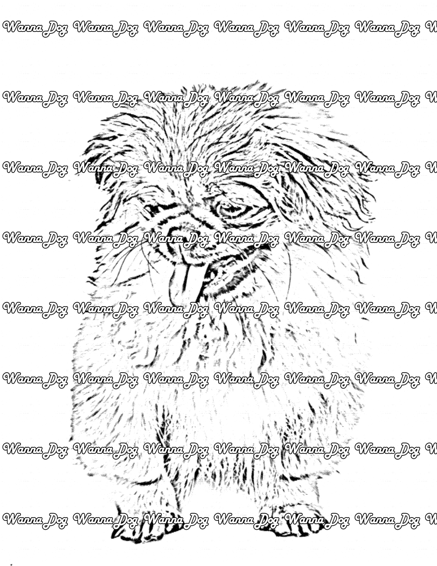 Pekingese Coloring Page of a Pekingese standing with their tongue out