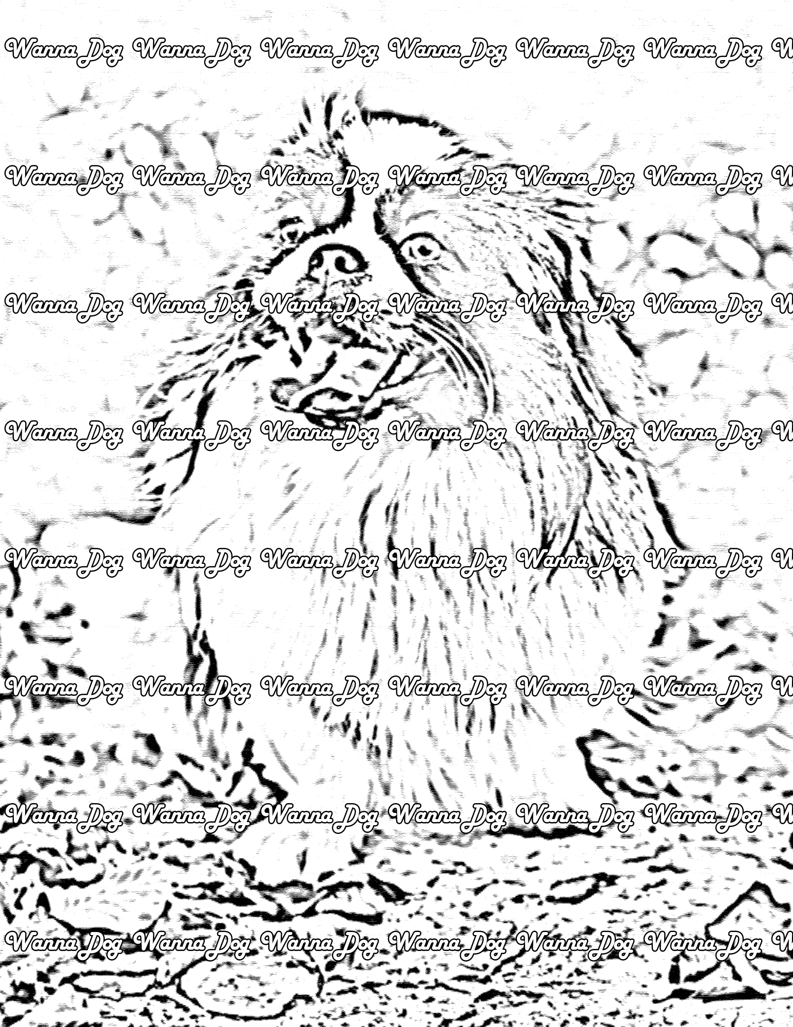 Pekingese Coloring Page of a Pekingese sitting in a park