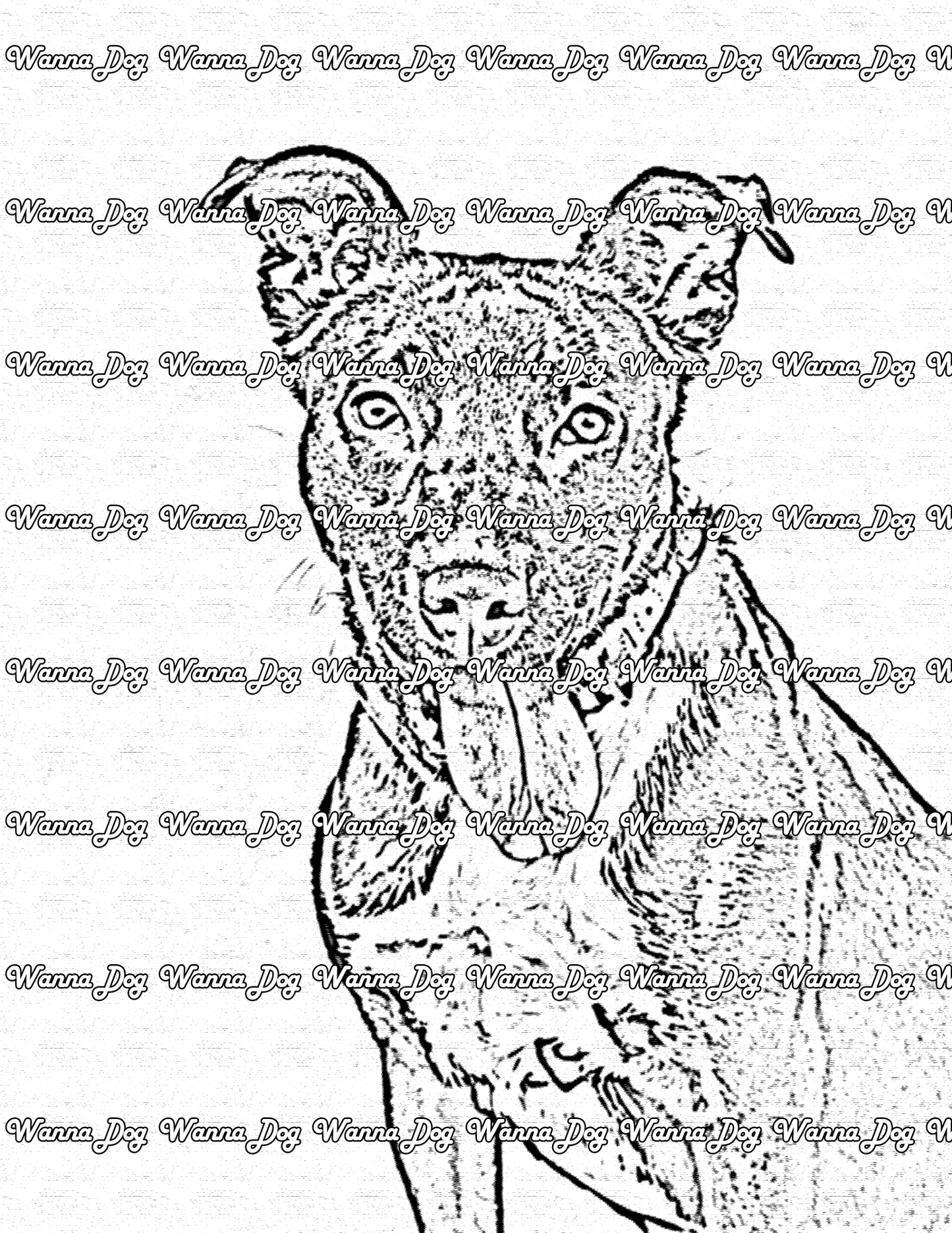Pitbull Coloring Pages of a Pitbull with their tongue out