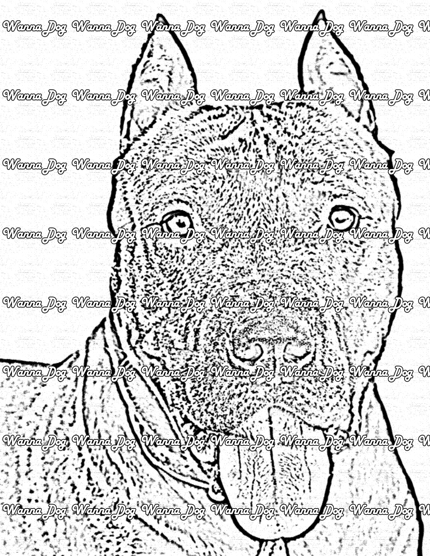 Pitbull Coloring Pages of a Pitbull close up, ears up, and tongue out