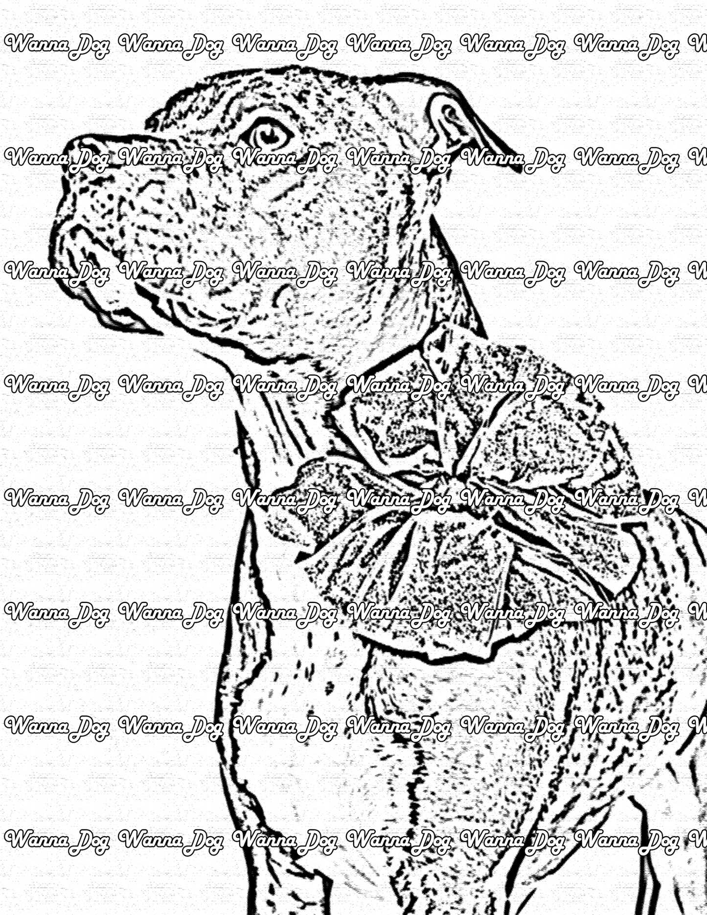 Pitbull Coloring Pages of a Pitbull wearing a bow