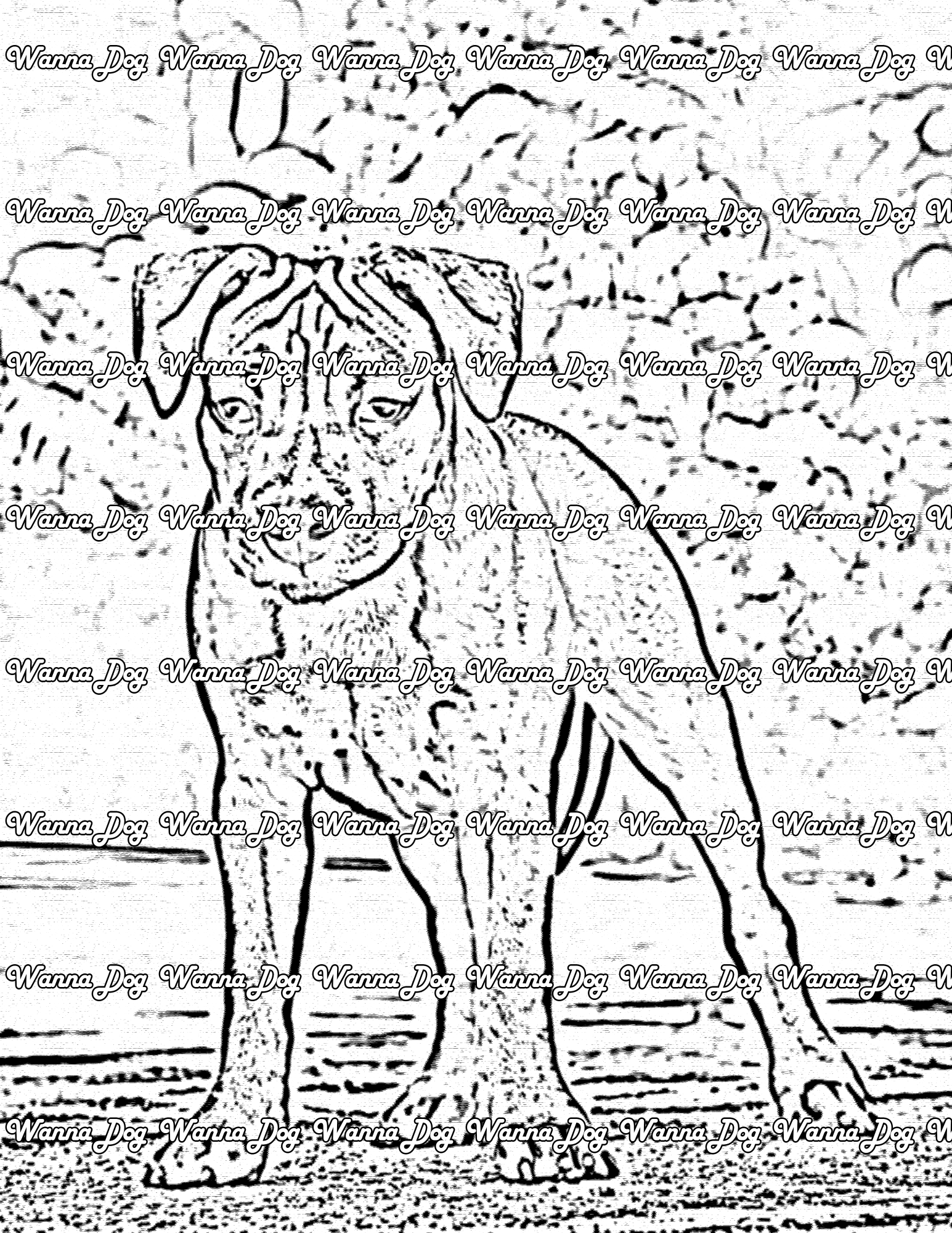 Pitbull Coloring Pages of a Pitbull standing outside