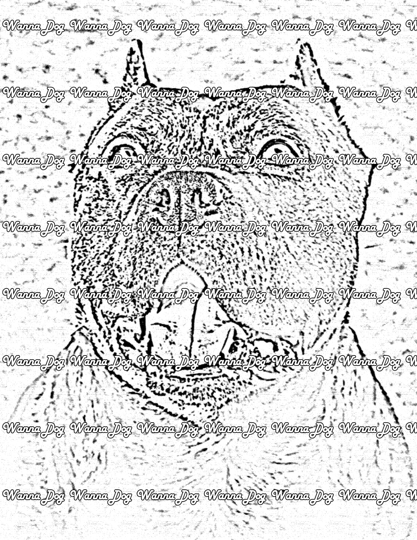 Pitbull Coloring Pages of a Pitbull smiling