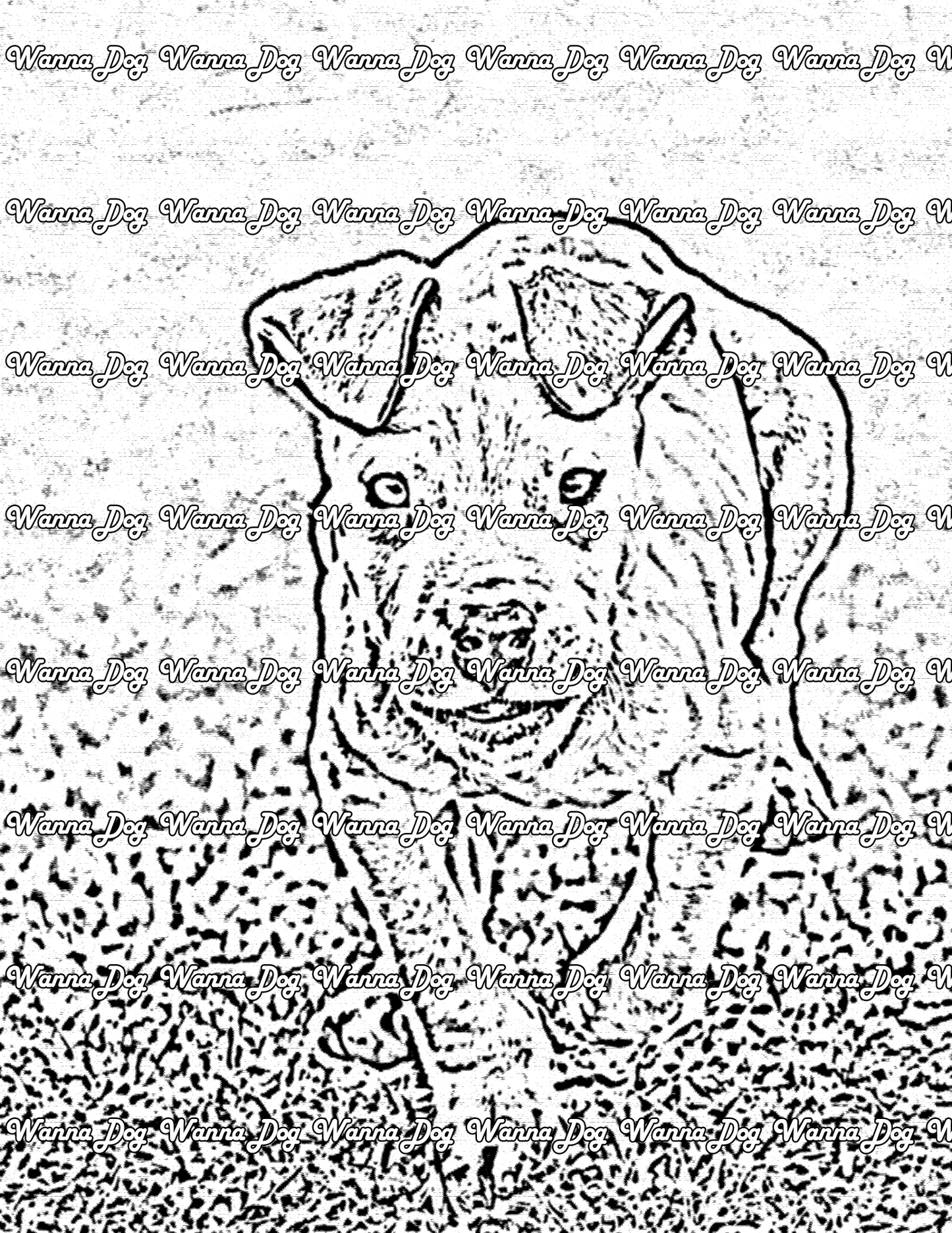 Pitbull Coloring Pages of a Pitbull running
